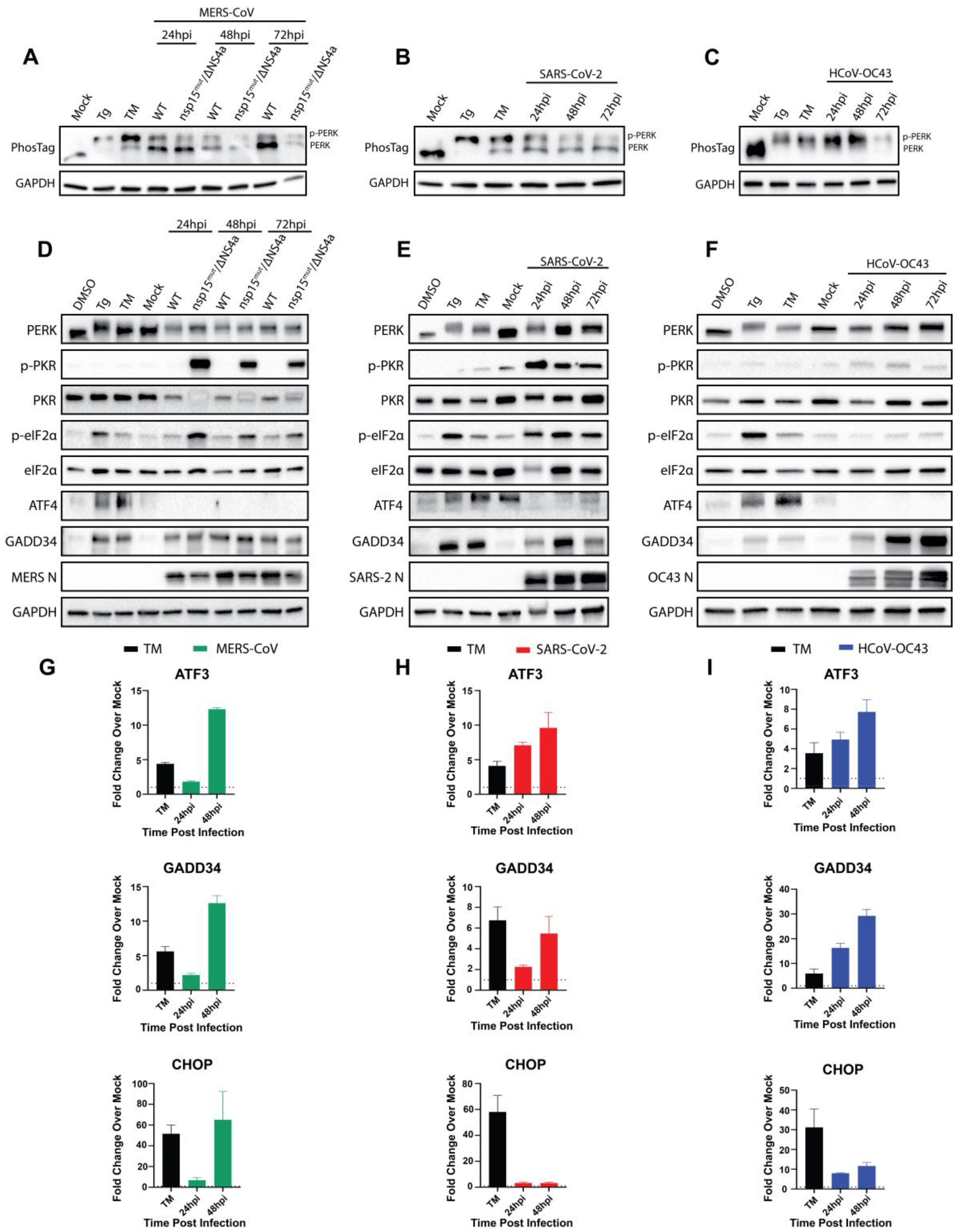 Viruses 17 00120 g003