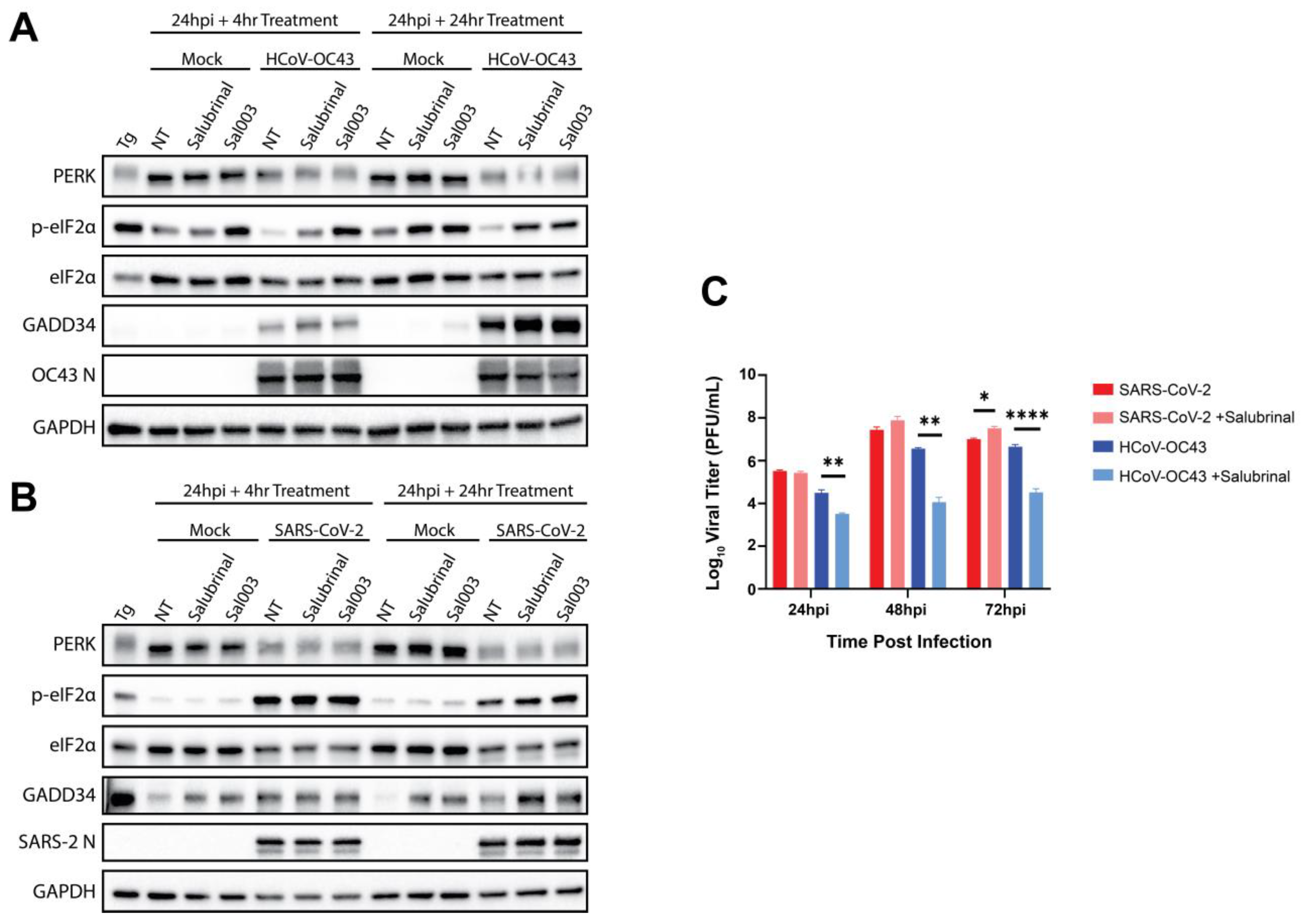 Viruses 17 00120 g005