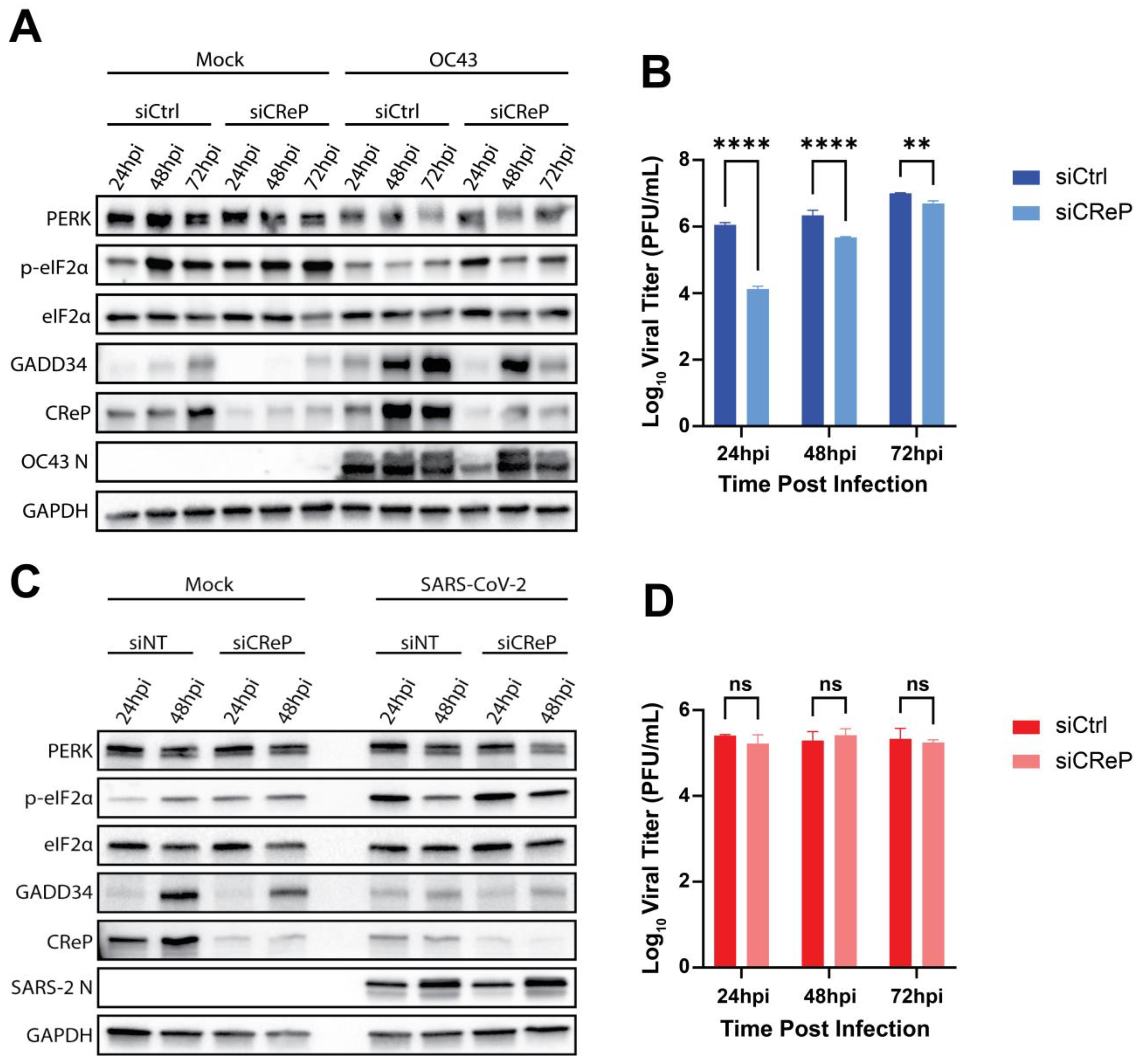 Viruses 17 00120 g007