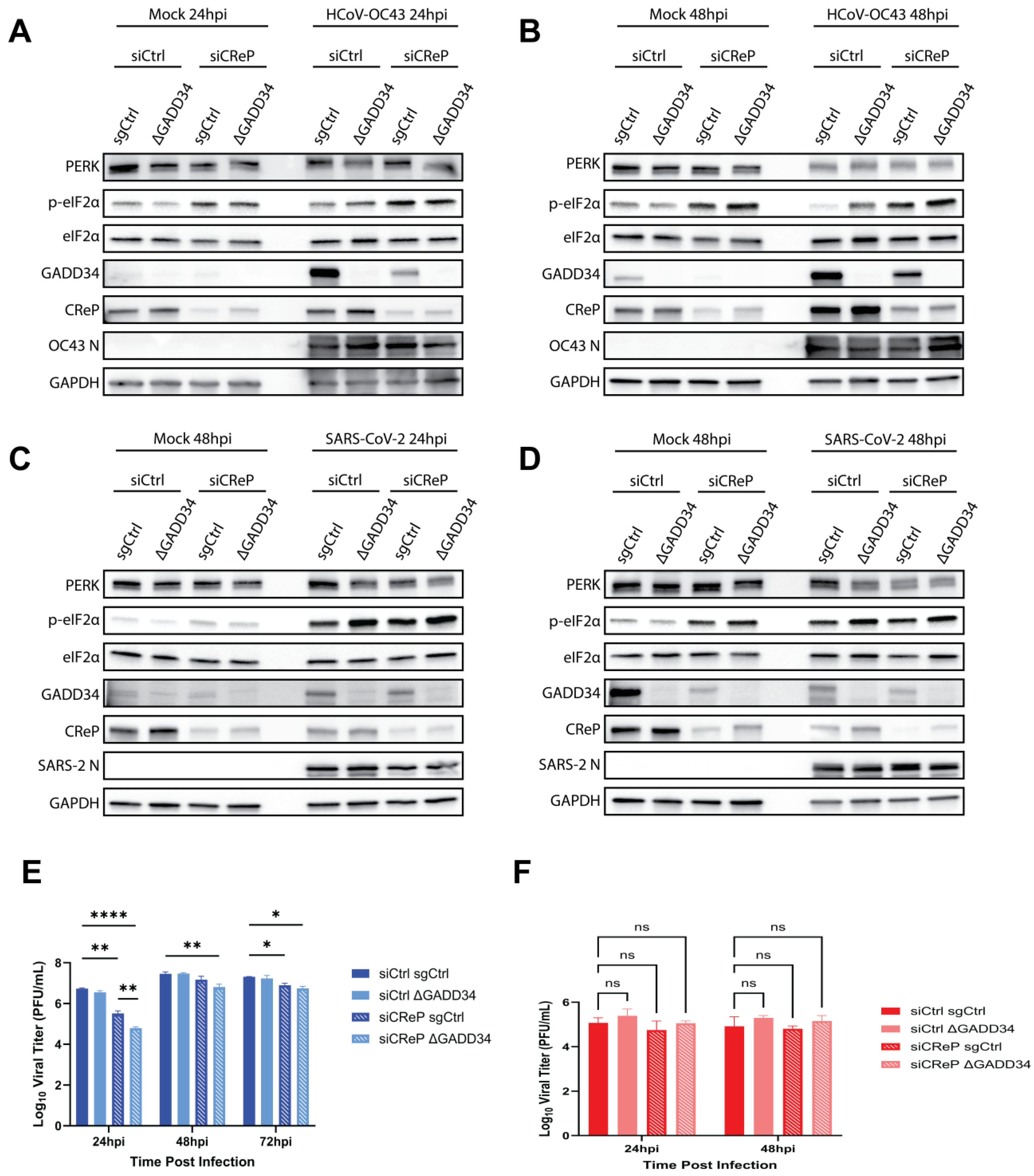 Viruses 17 00120 g008