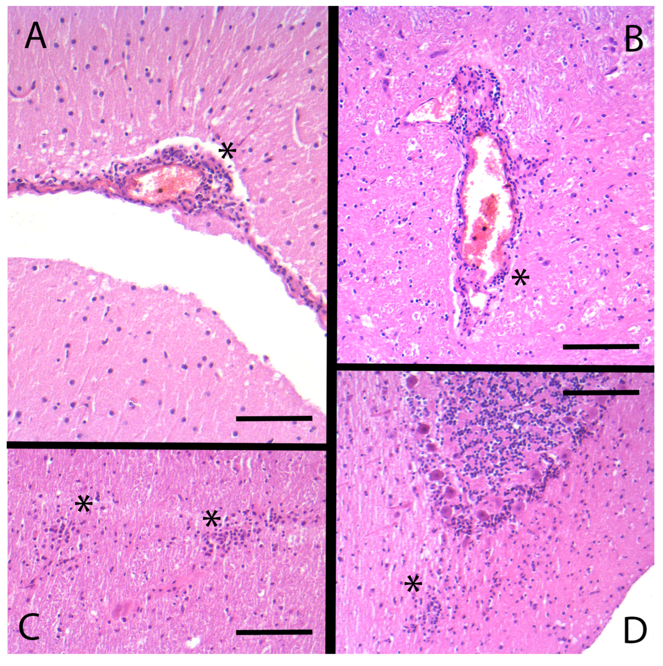Viruses 17 00122 g002
