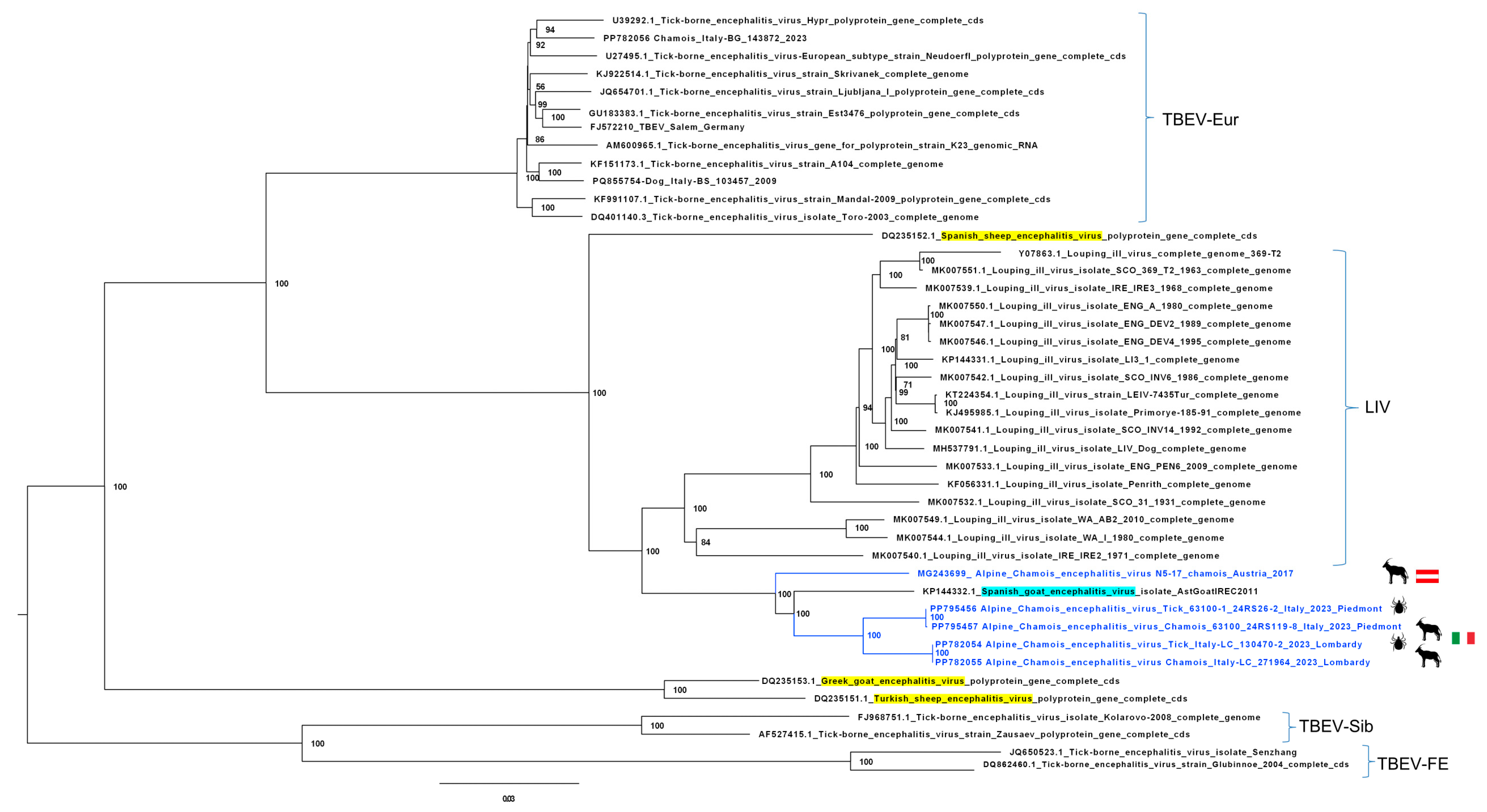 Viruses 17 00122 g003