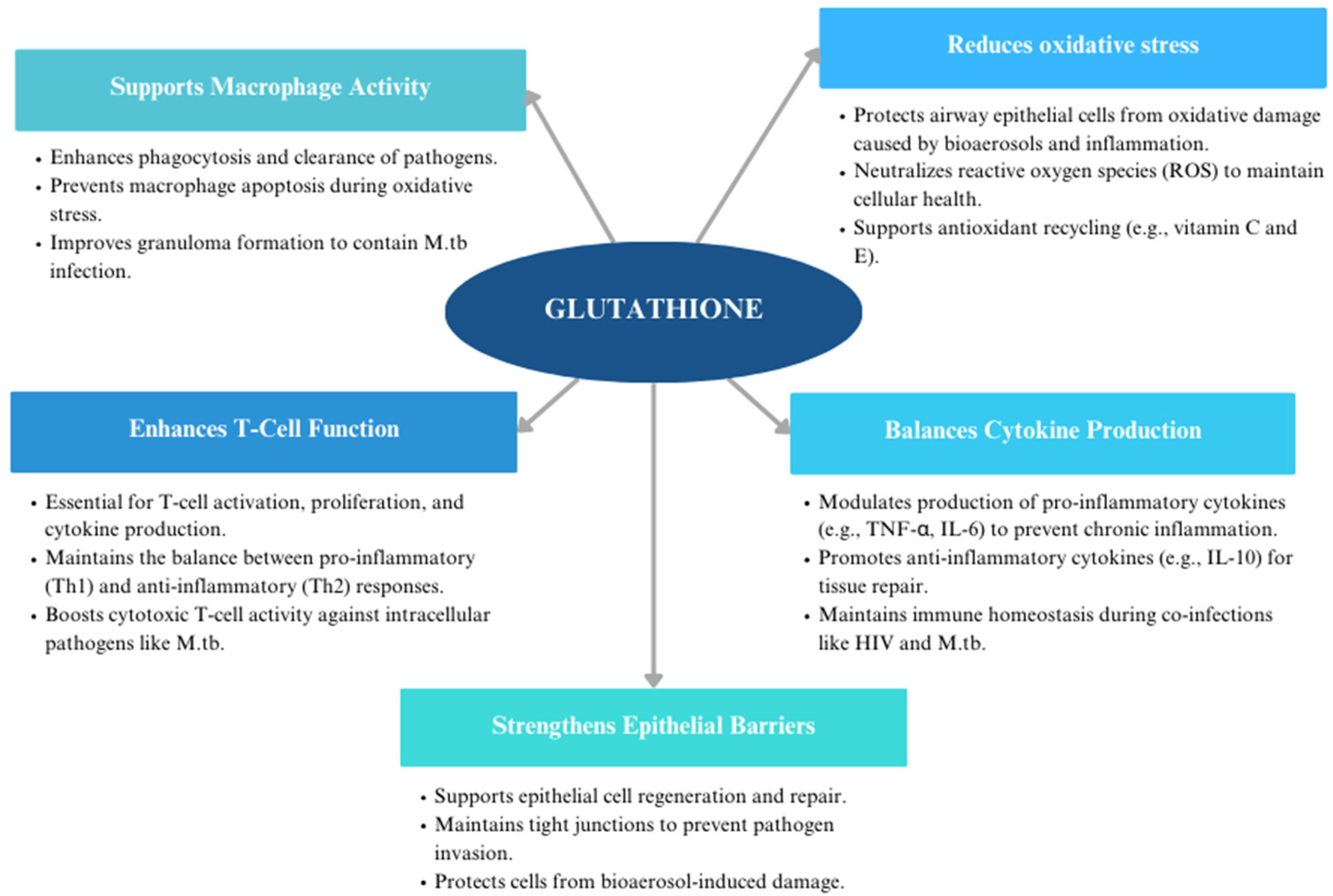 Viruses 17 00127 g002 Viruses 17 00127 g002
