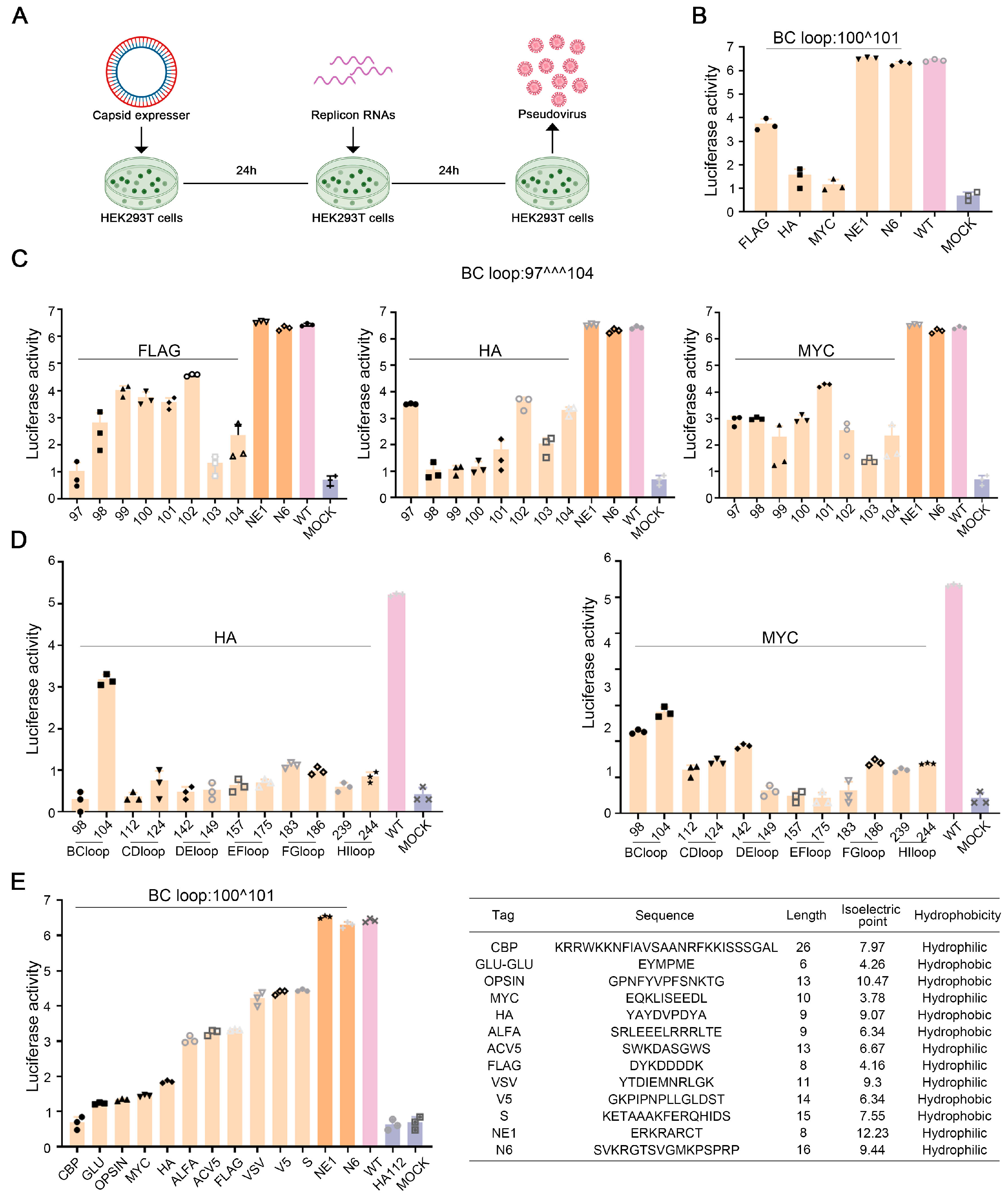 Viruses 17 00128 g001