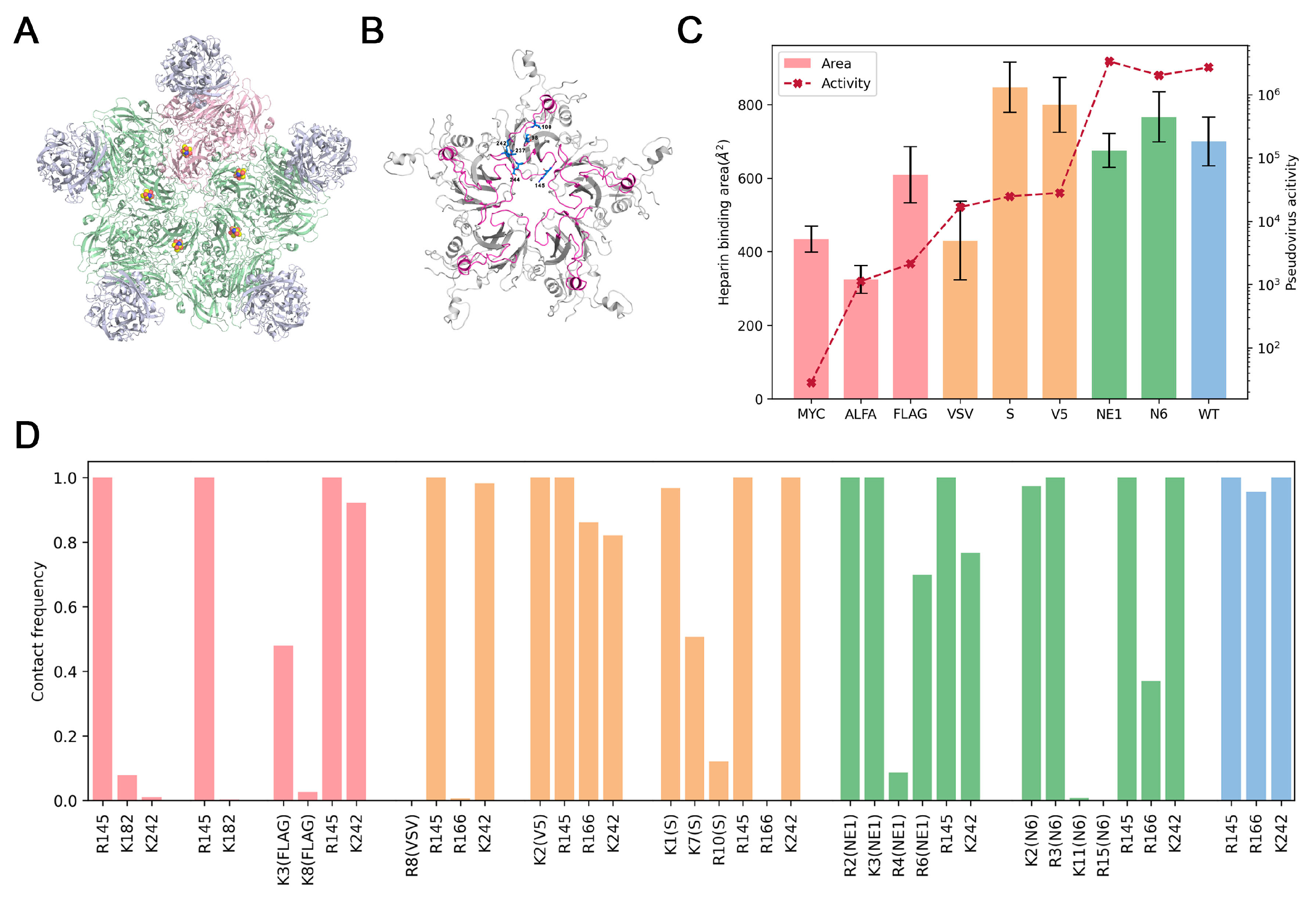 Viruses 17 00128 g005