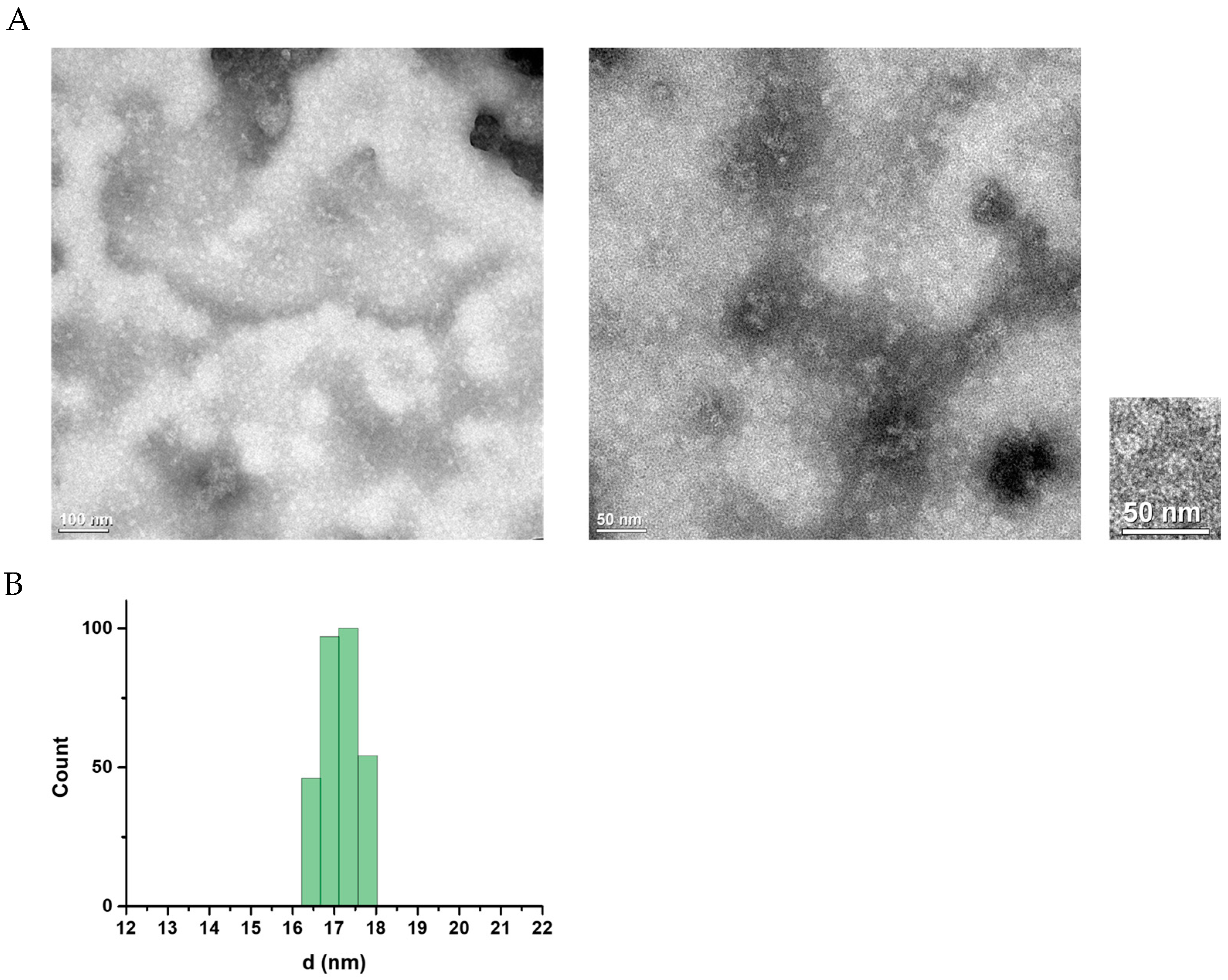 Viruses 17 00129 g004