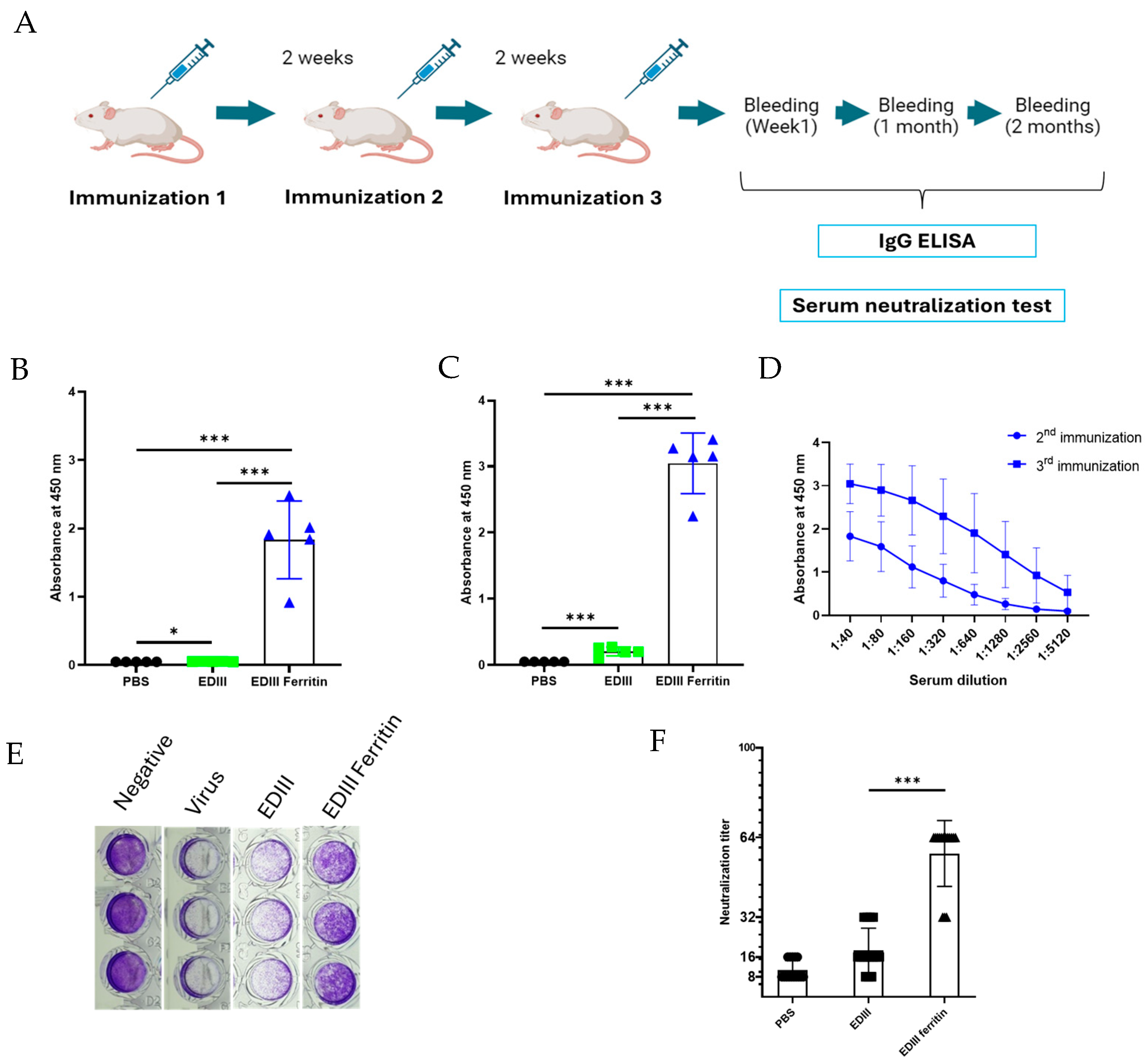 Viruses 17 00129 g005