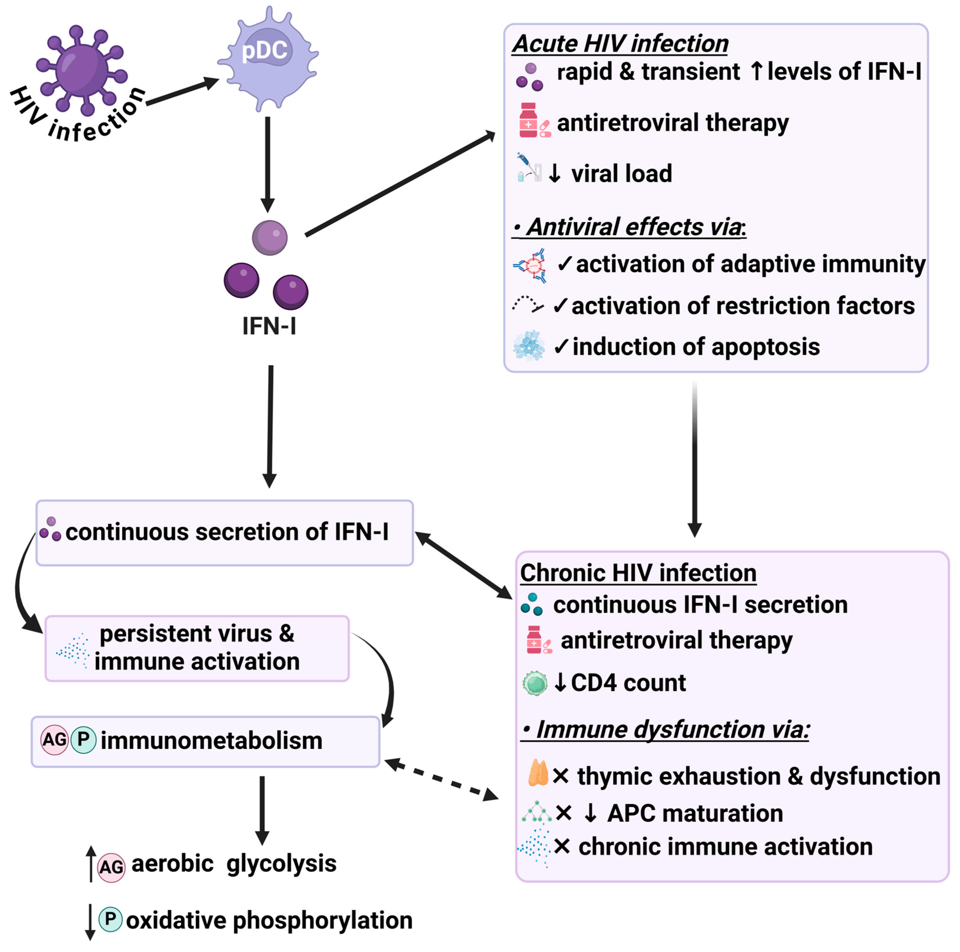 Viruses 17 00139 g002