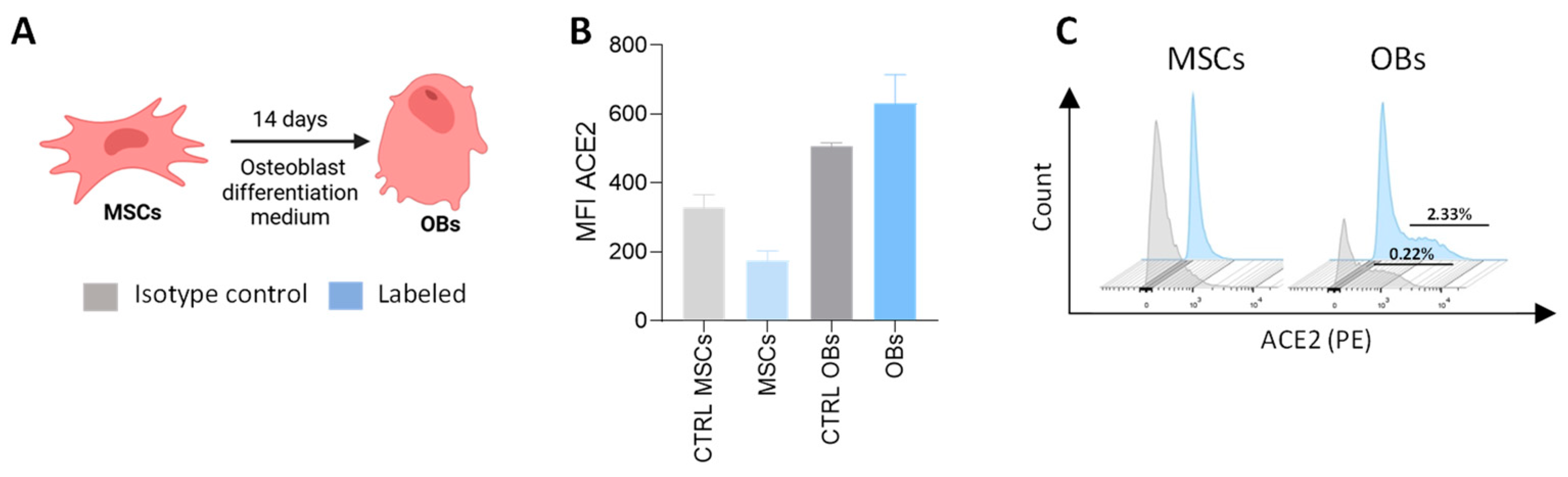 Viruses 17 00143 g002 Viruses 17 00143 g002