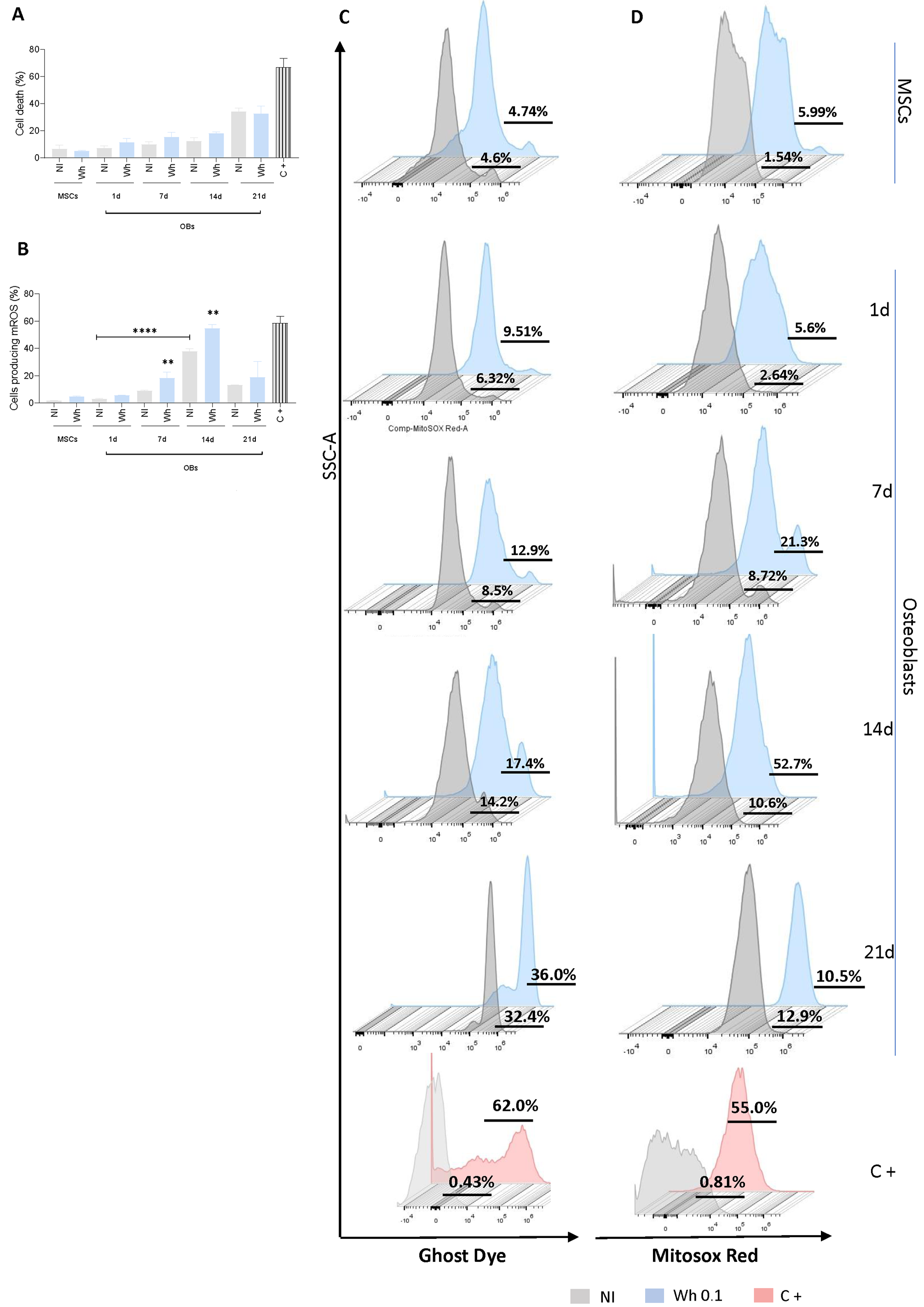 Viruses 17 00143 g004 Viruses 17 00143 g004
