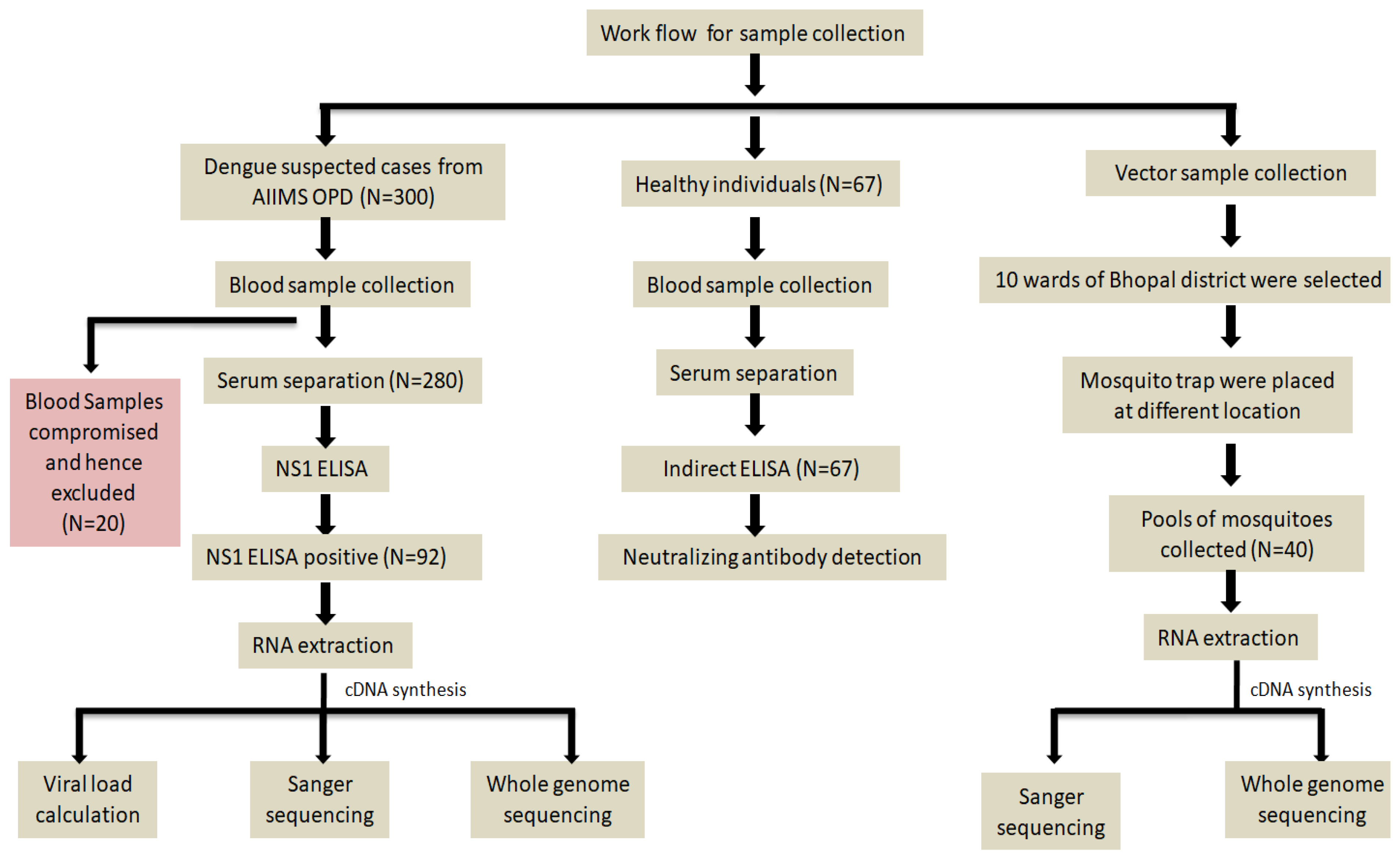 Viruses 17 00144 g002