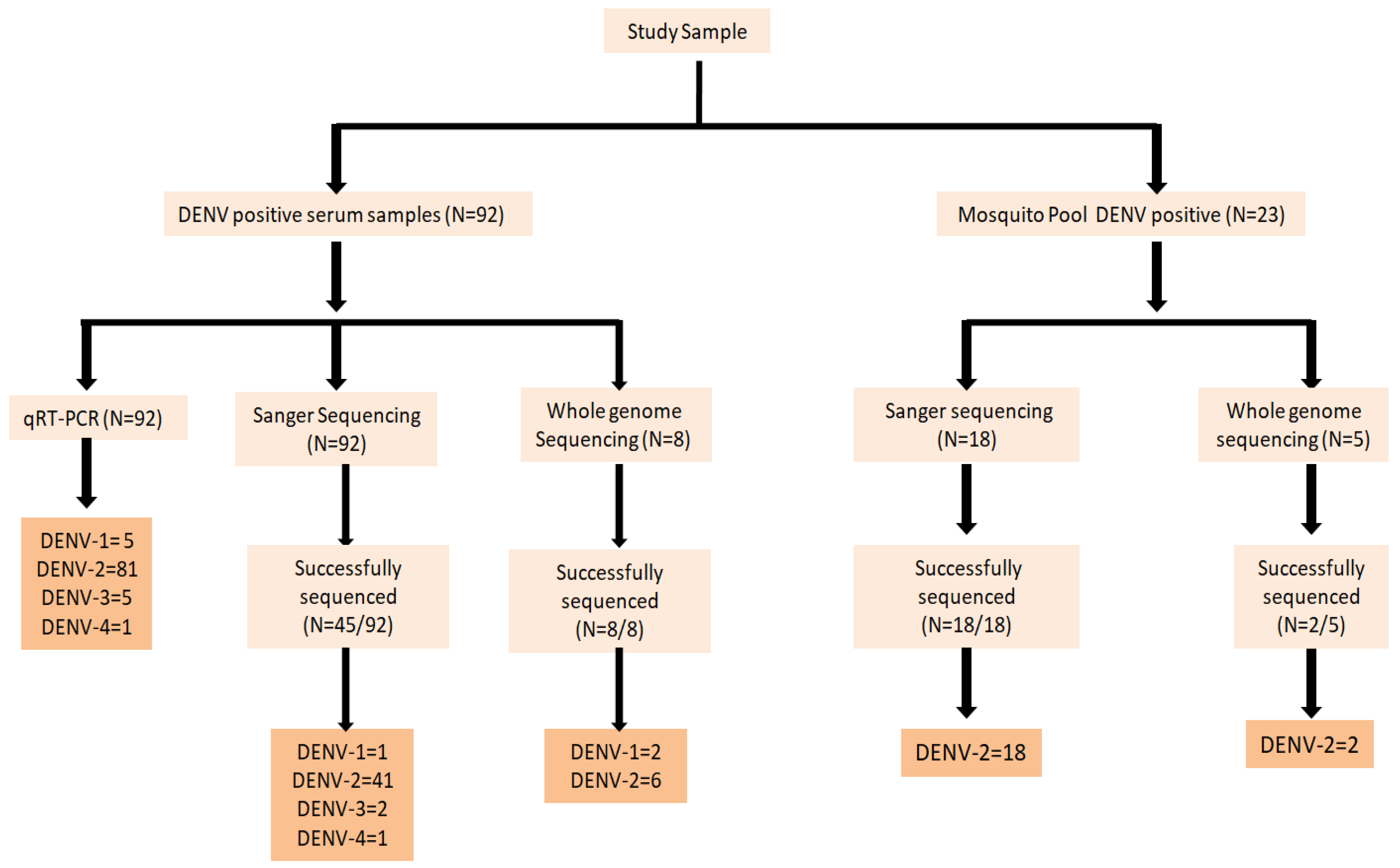 Viruses 17 00144 g003