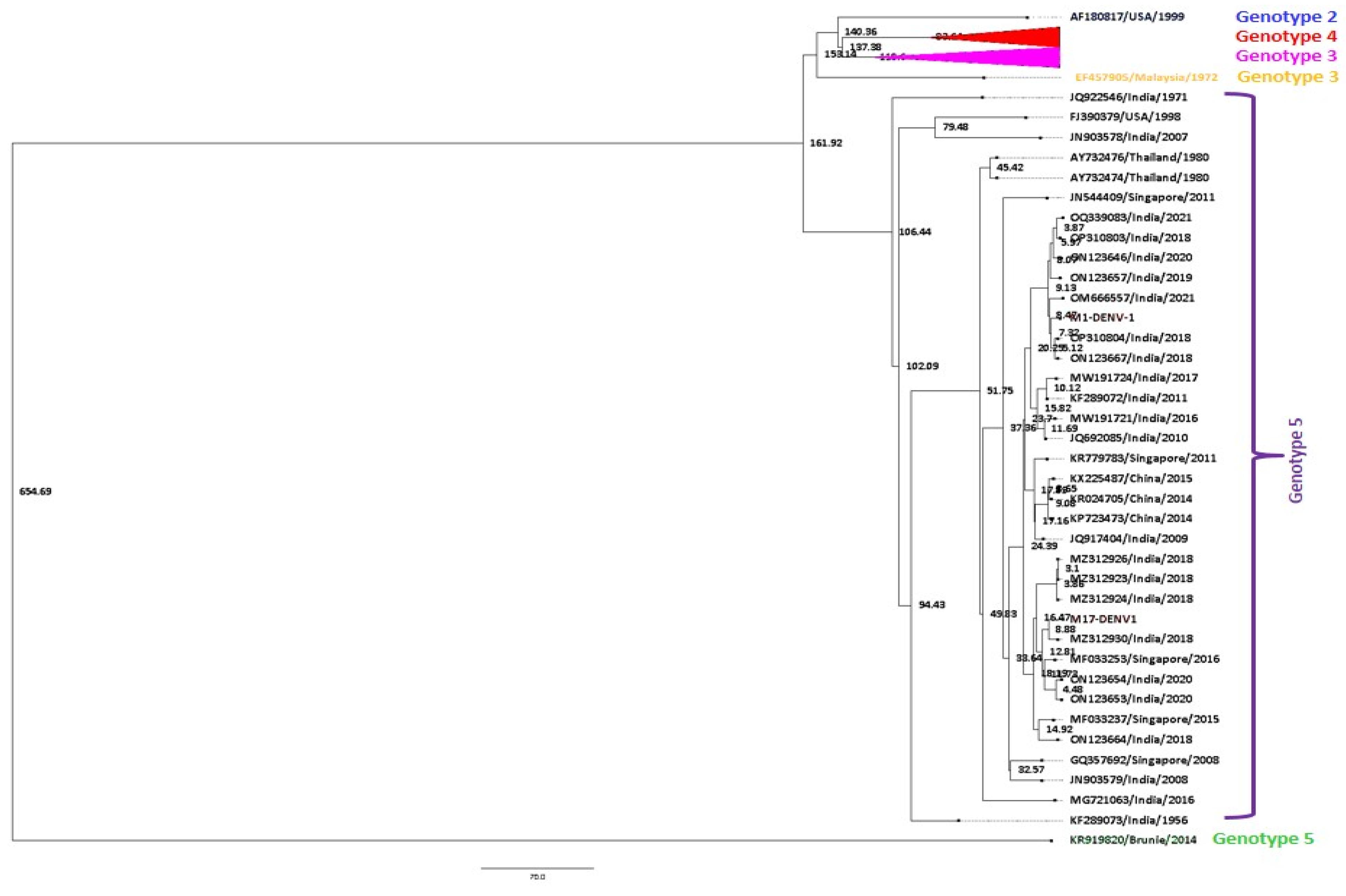 Viruses 17 00144 g008