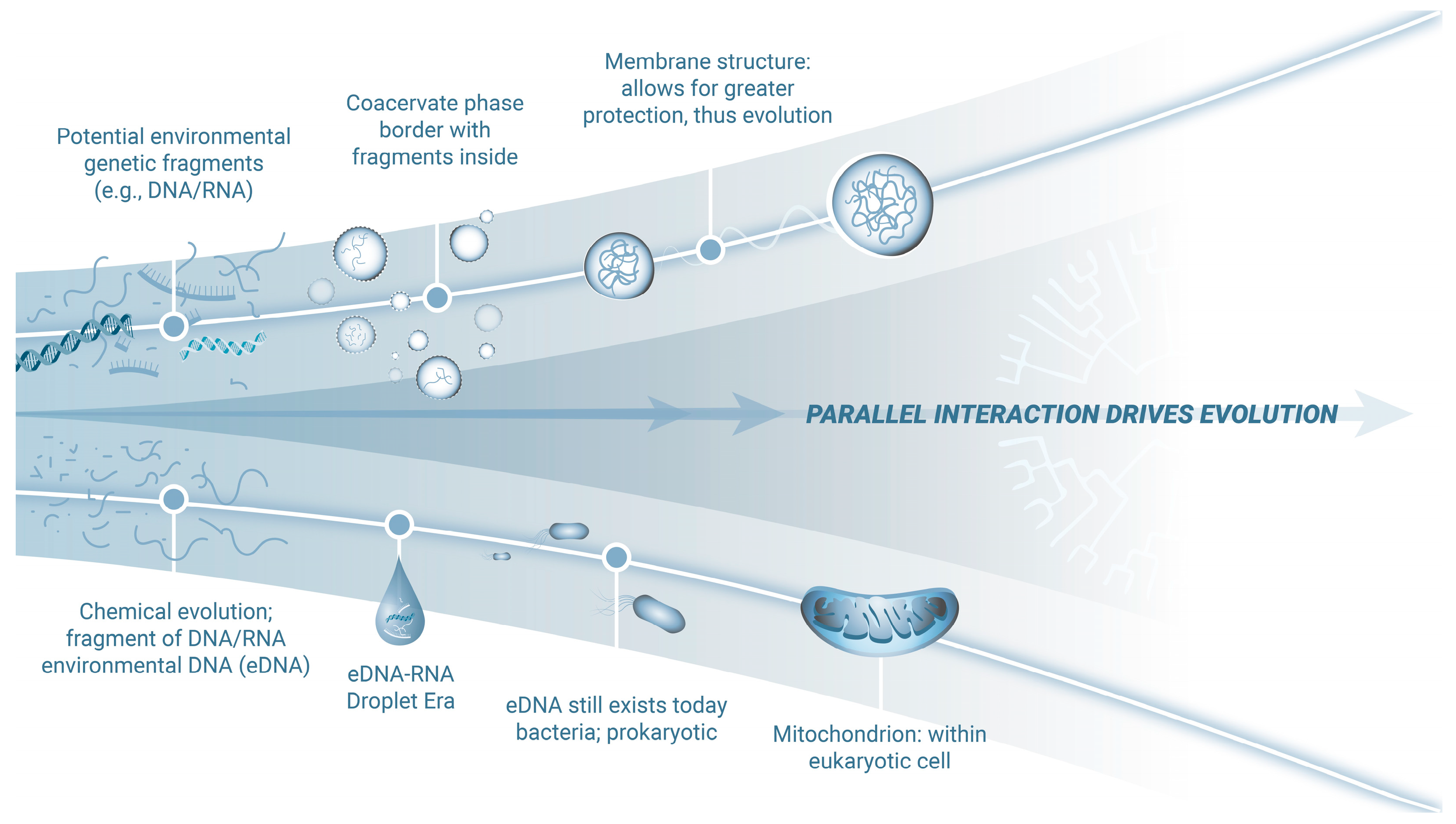 Viruses 17 00146 g001