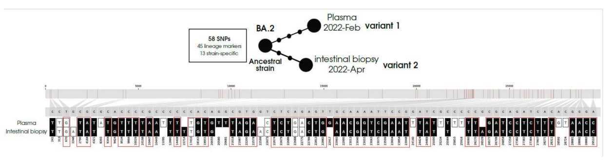 Viruses 17 00147 g001