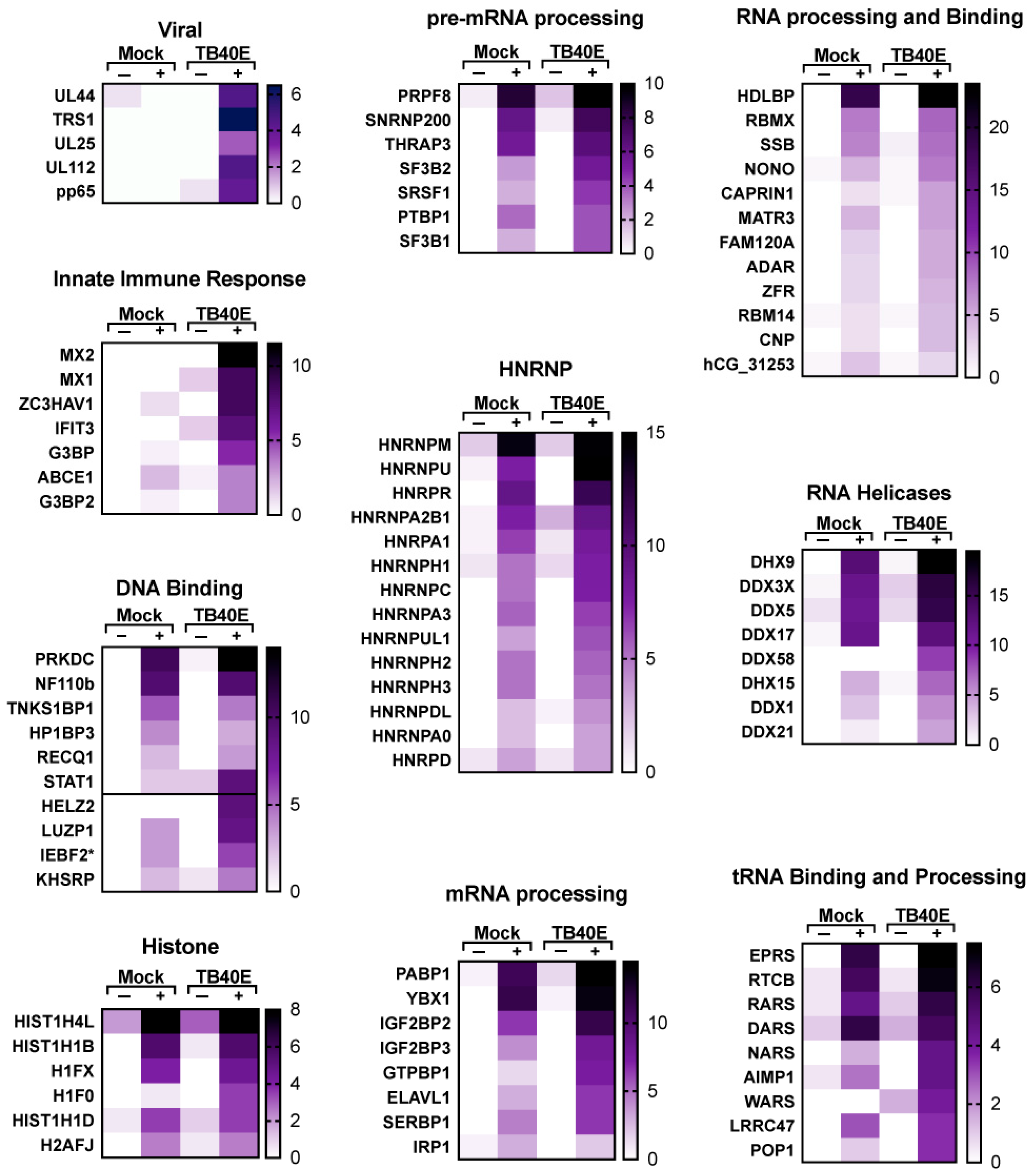 Viruses 17 00149 g007