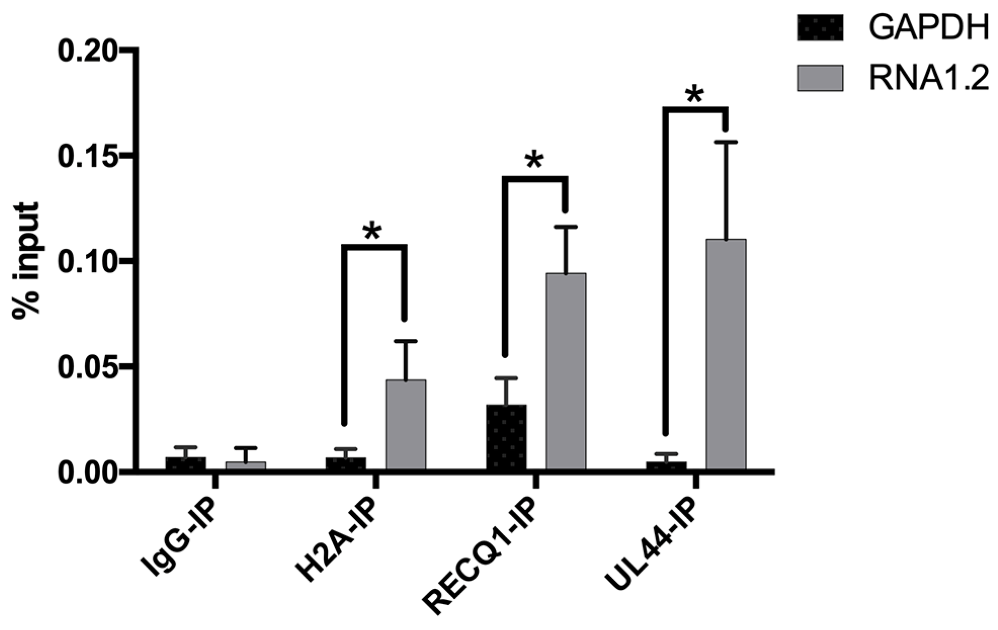 Viruses 17 00149 g009