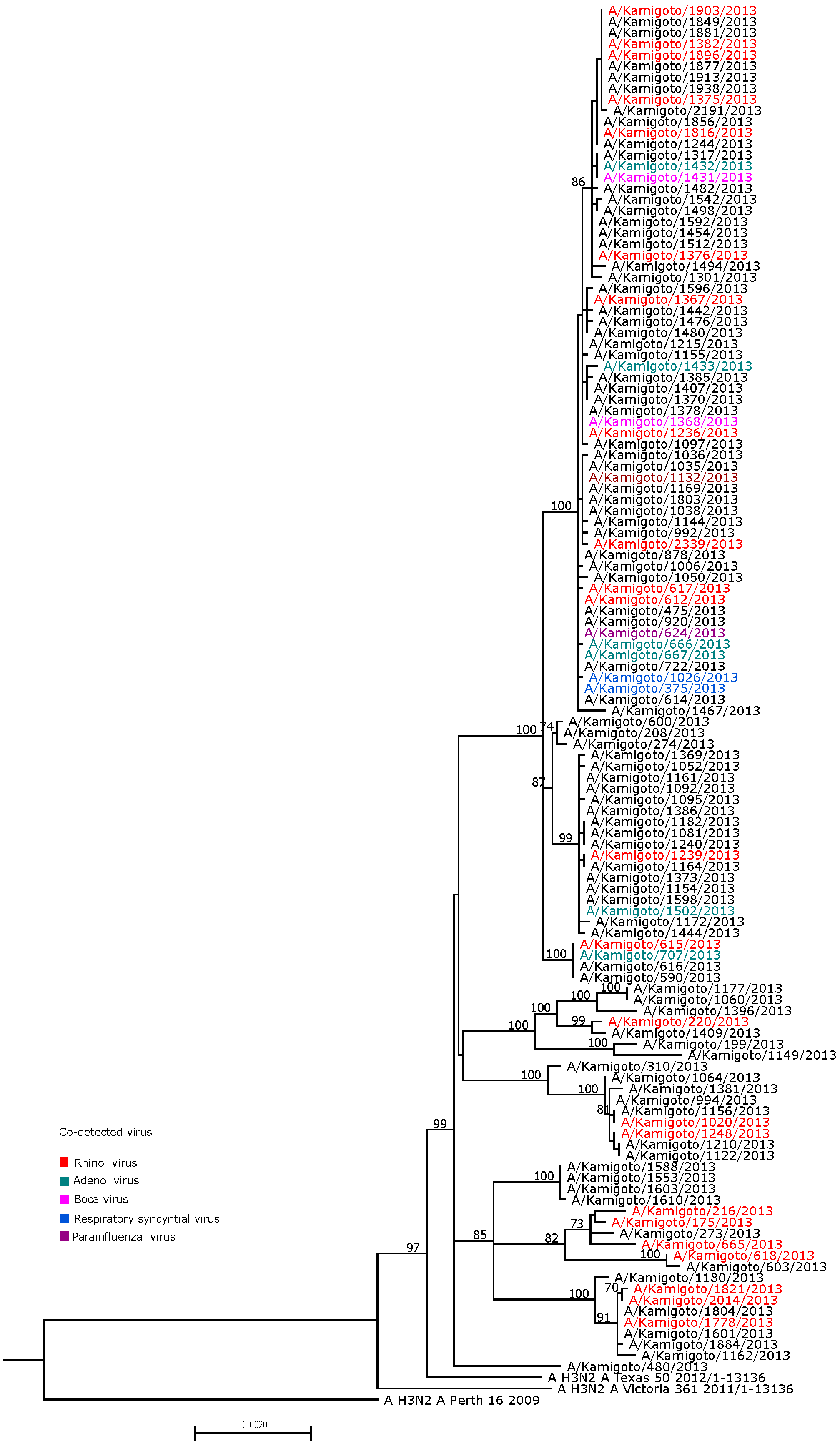 Viruses 17 00152 g003