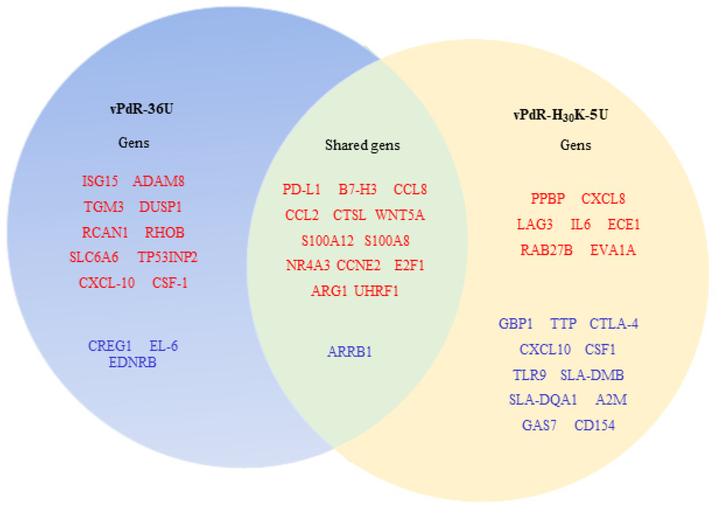 Viruses 17 00160 g005