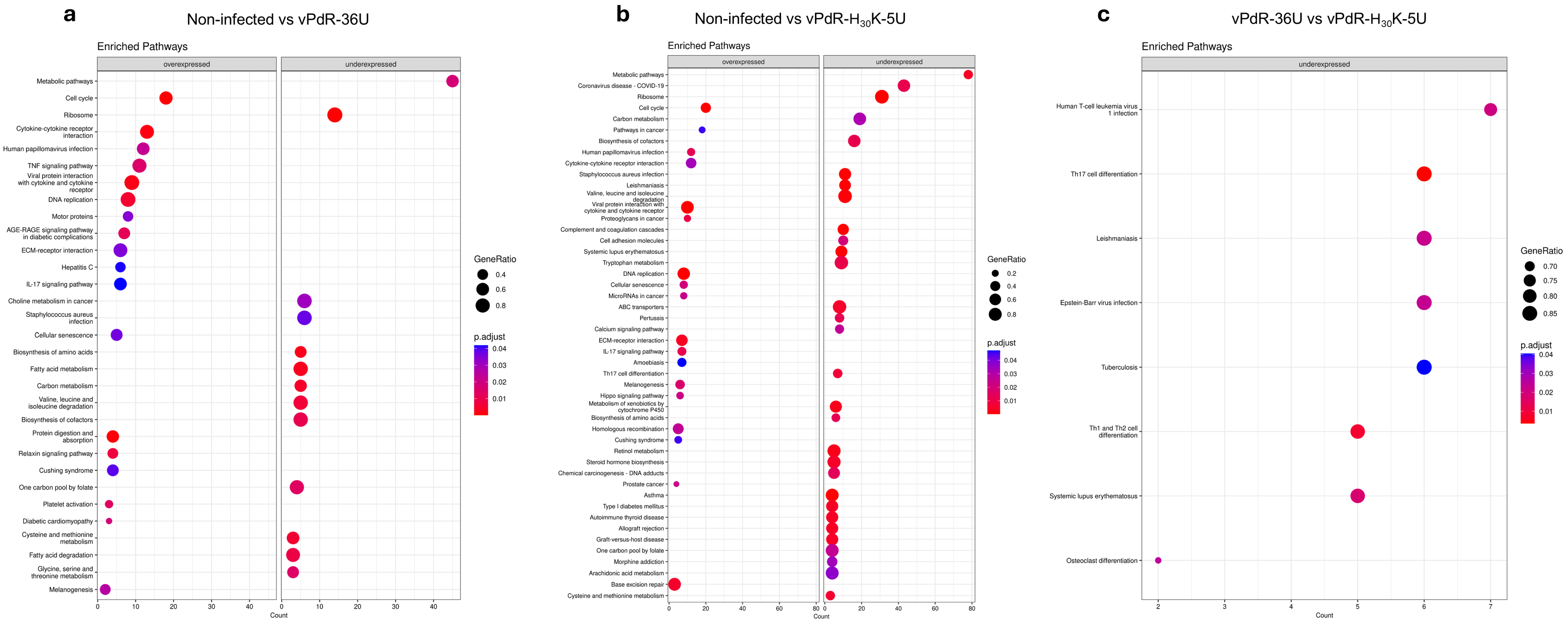 Viruses 17 00160 g007