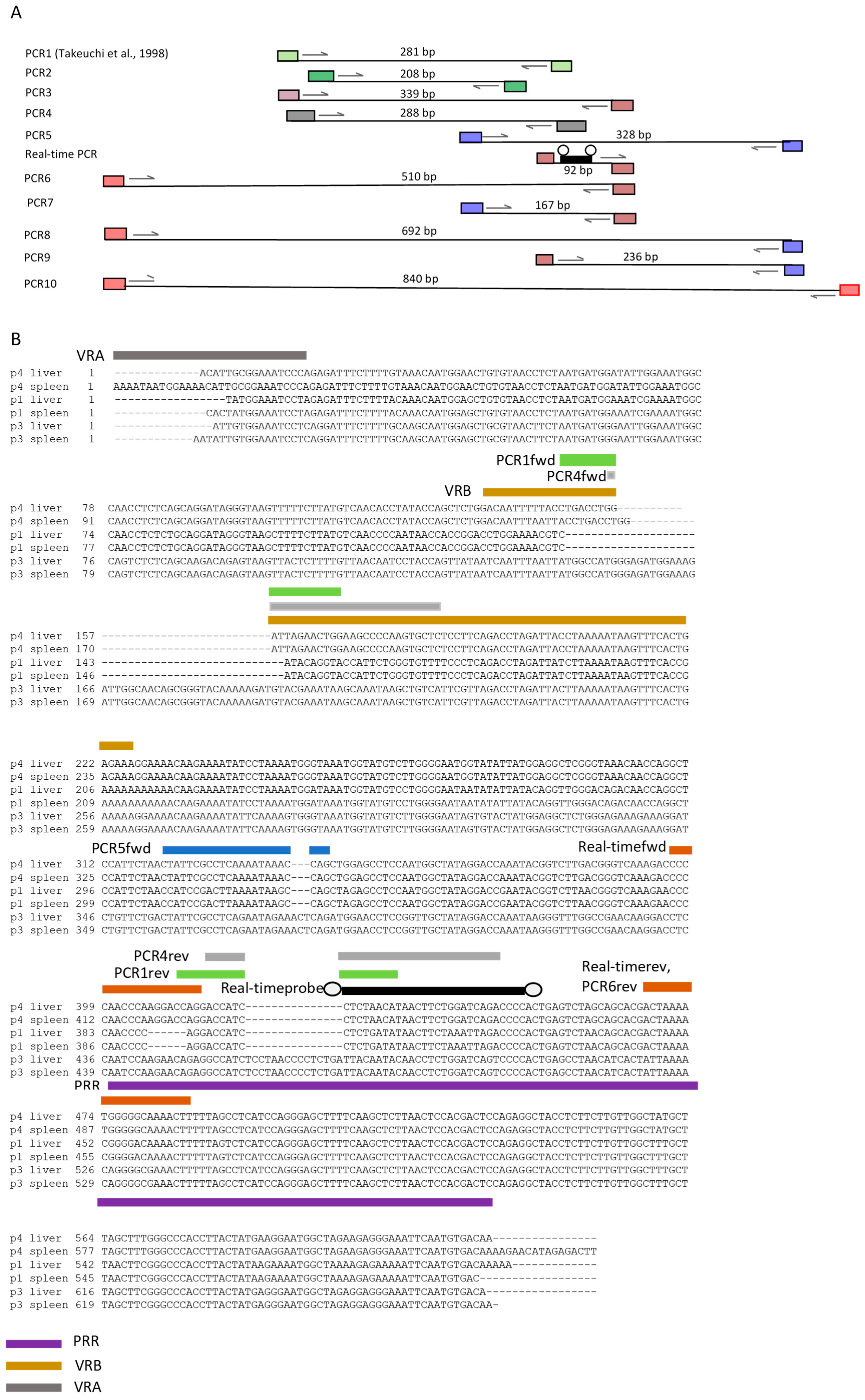 Viruses 17 00164 g001