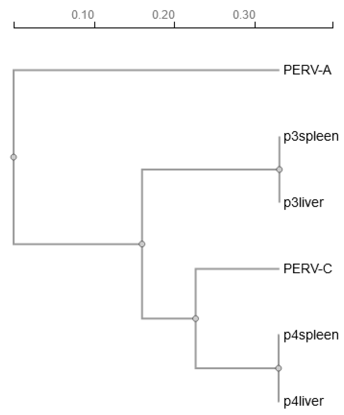 Viruses 17 00164 g003