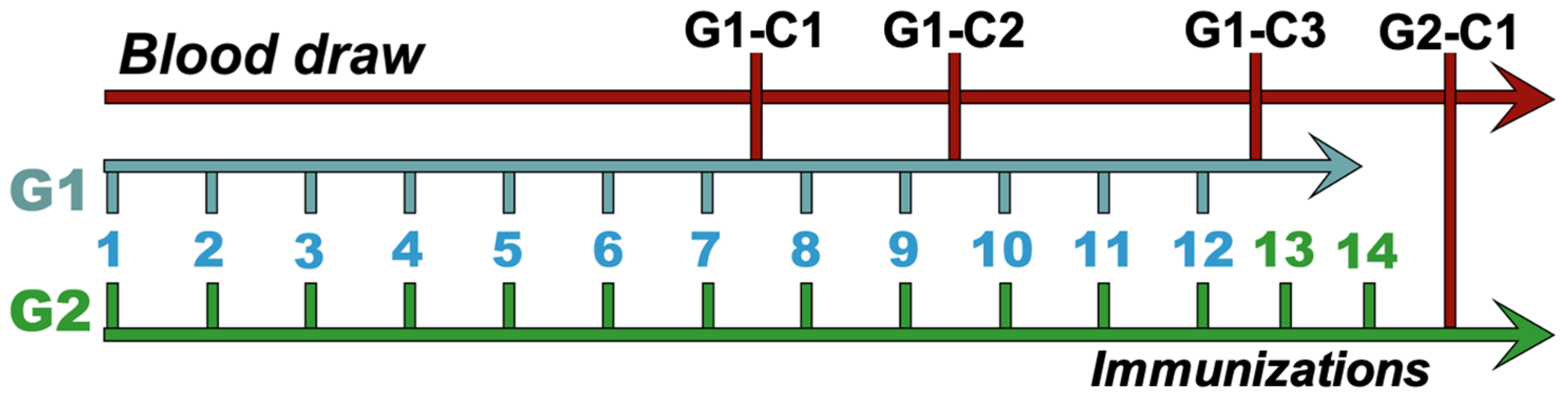 Viruses 17 00165 g001