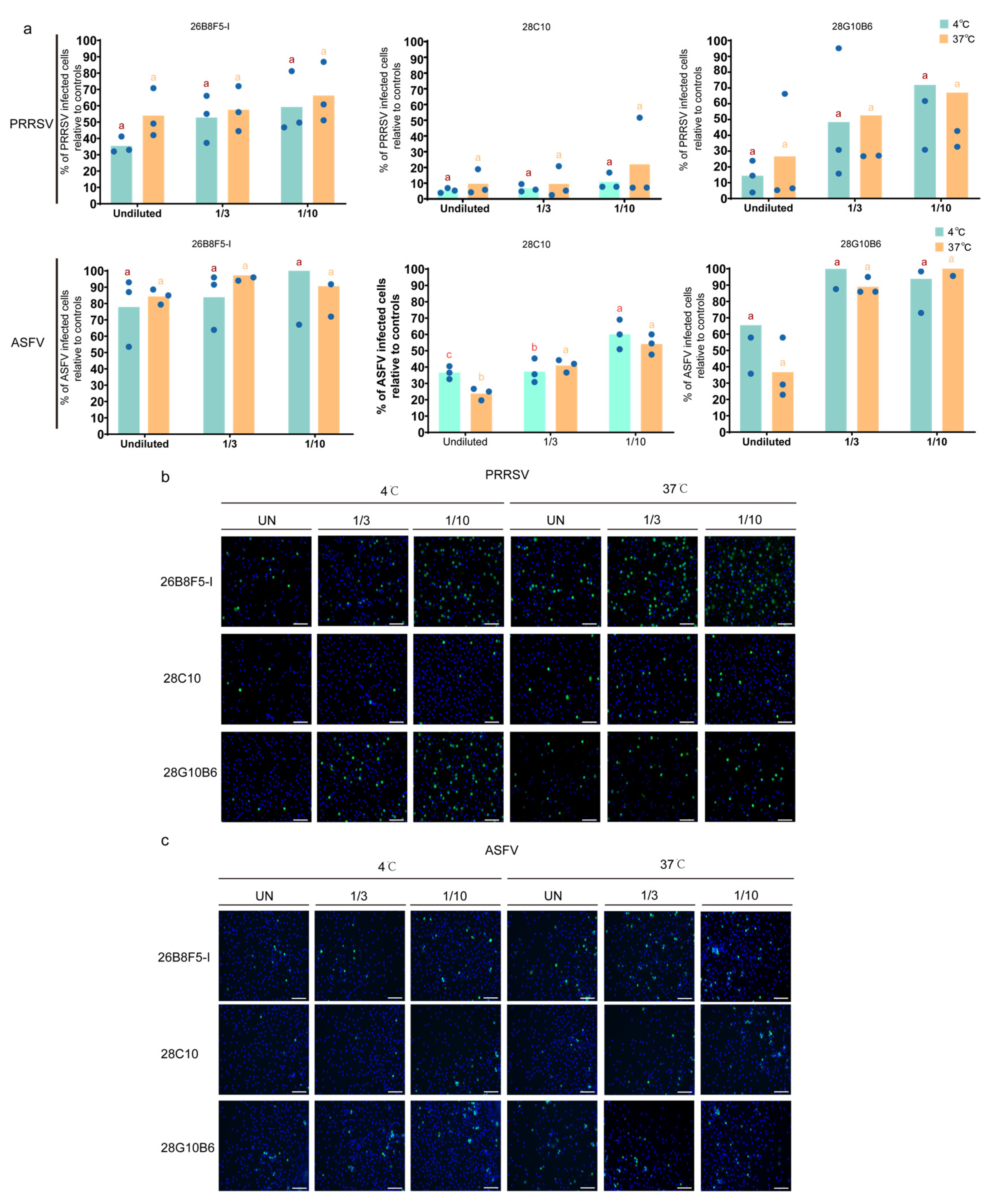 Viruses 17 00167 g004
