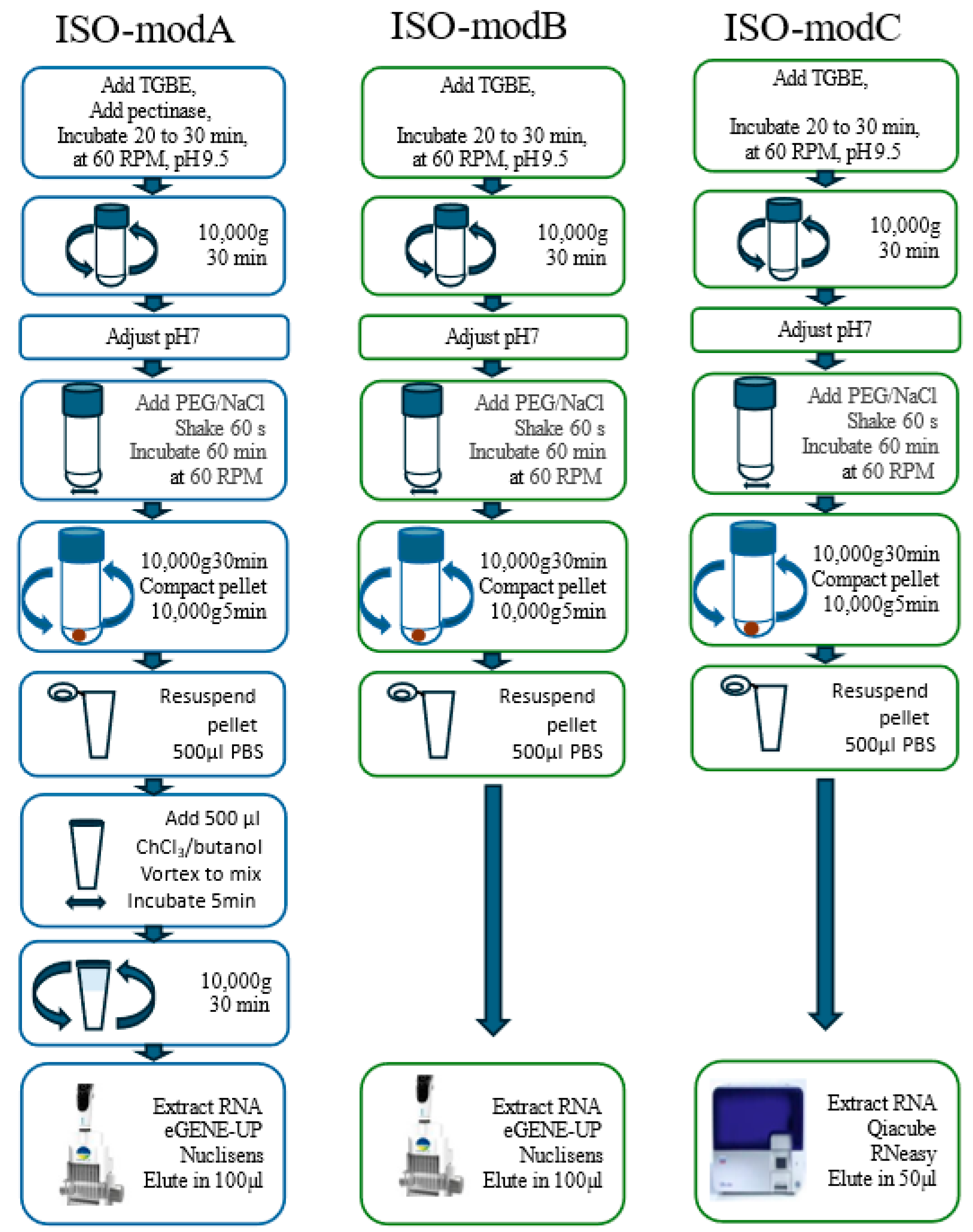 Viruses 17 00174 g001