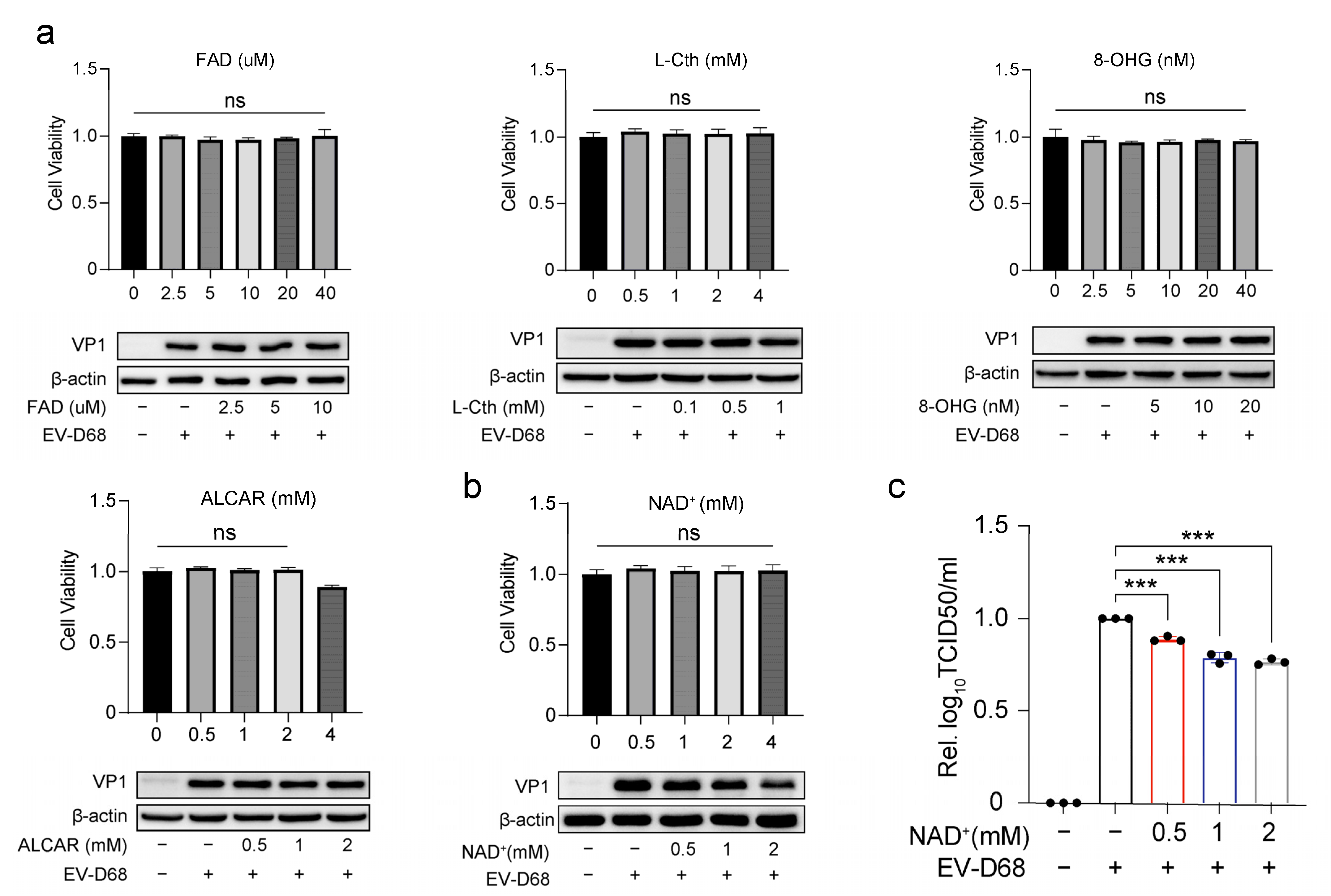 Viruses 17 00175 g002