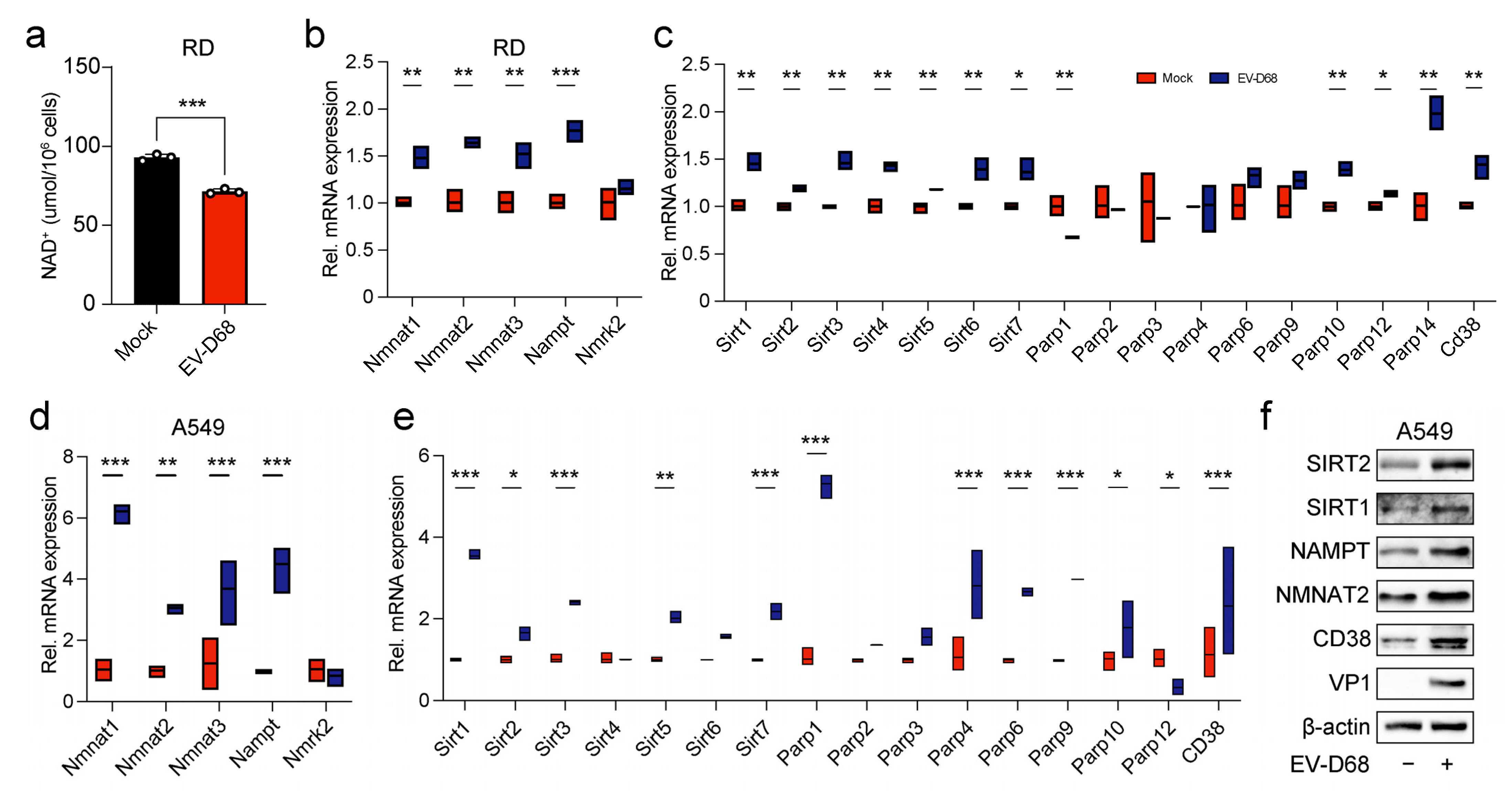 Viruses 17 00175 g004