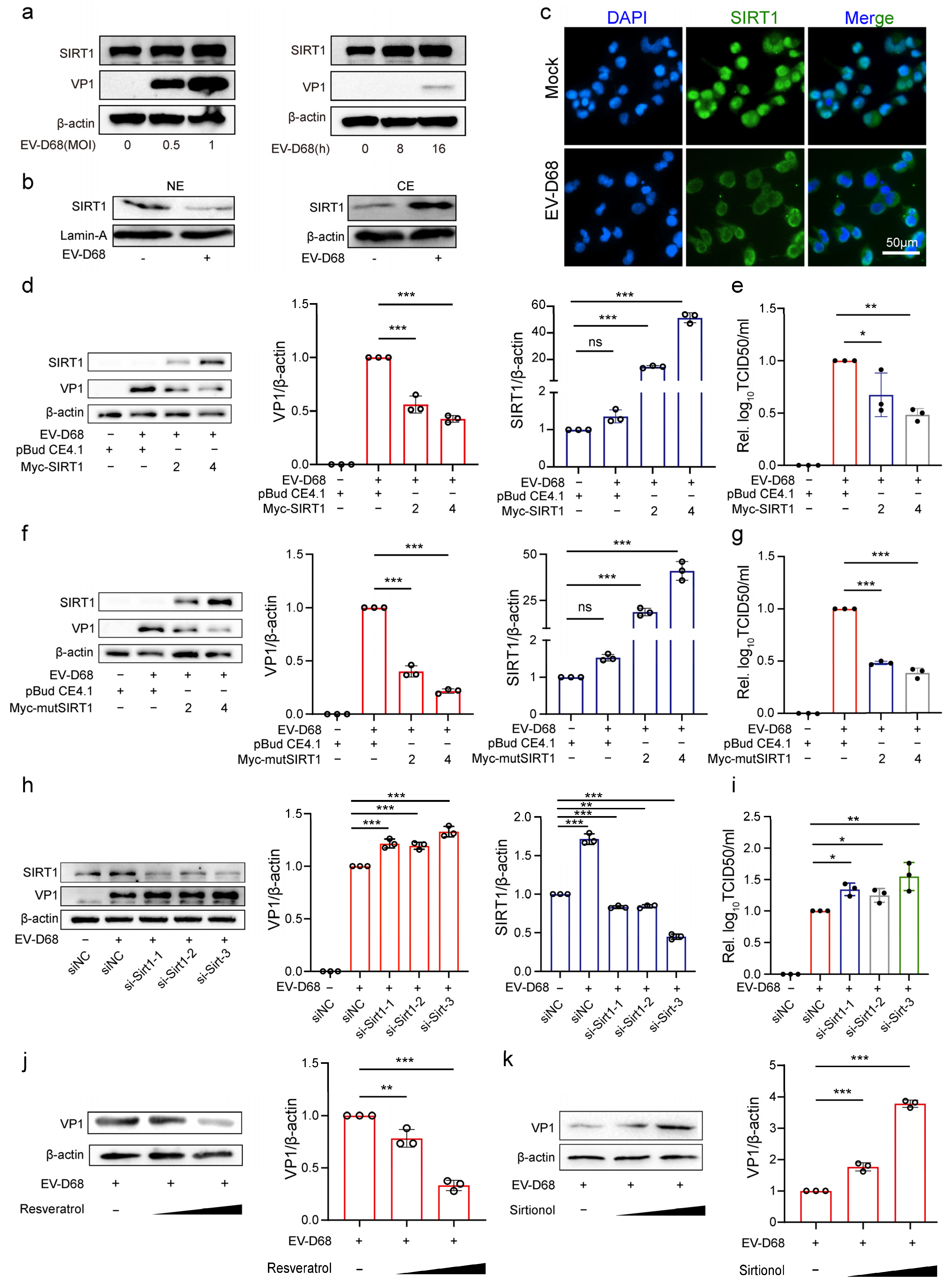 Viruses 17 00175 g005