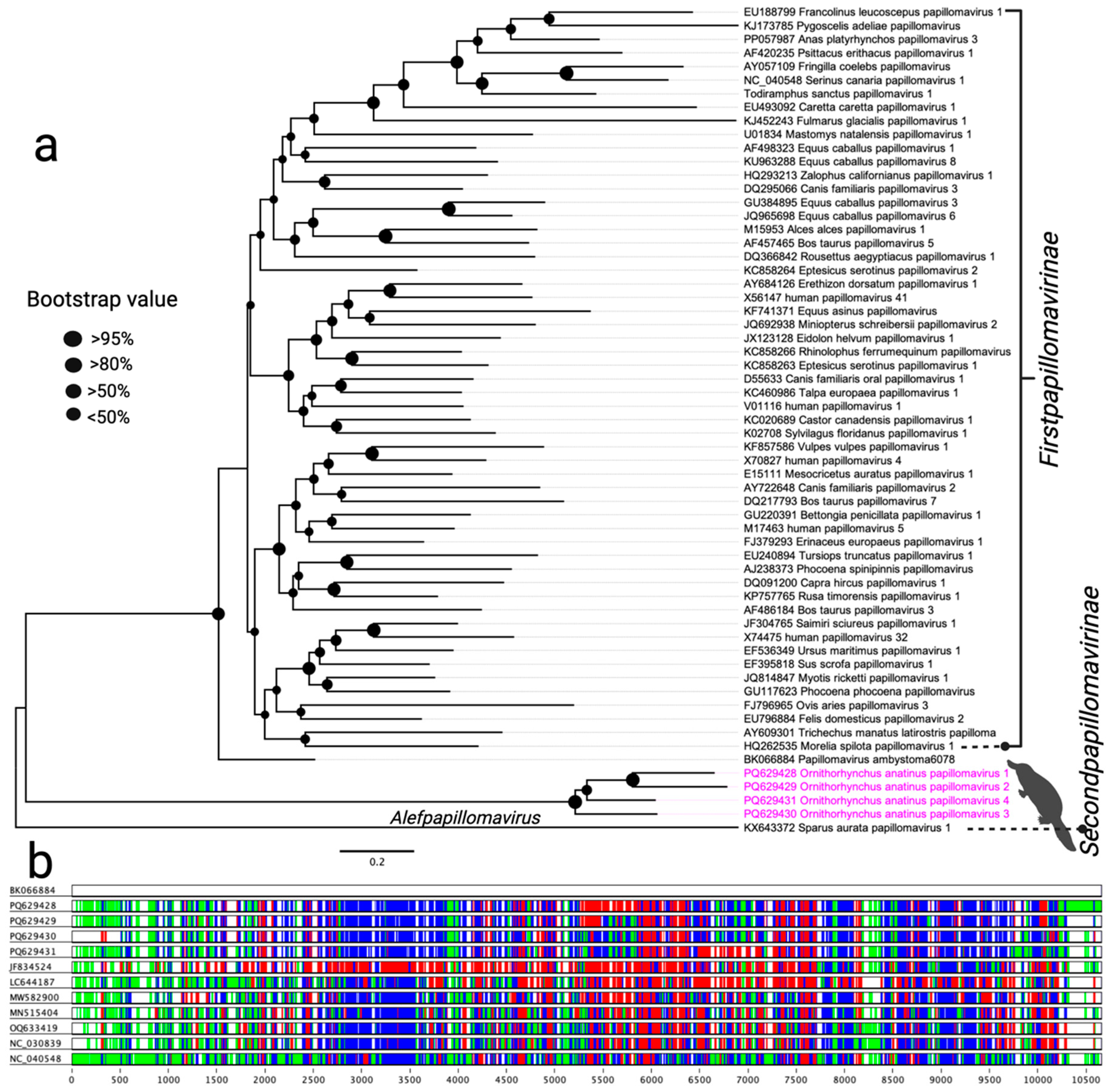 Viruses 17 00176 g001
