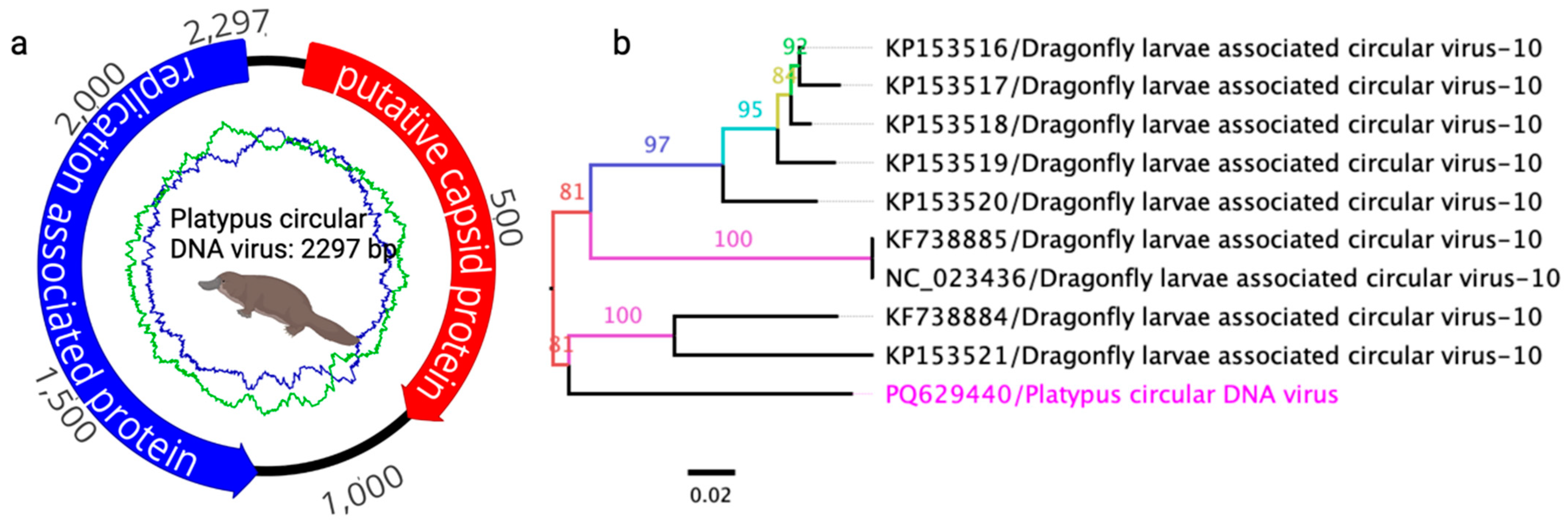 Viruses 17 00176 g003