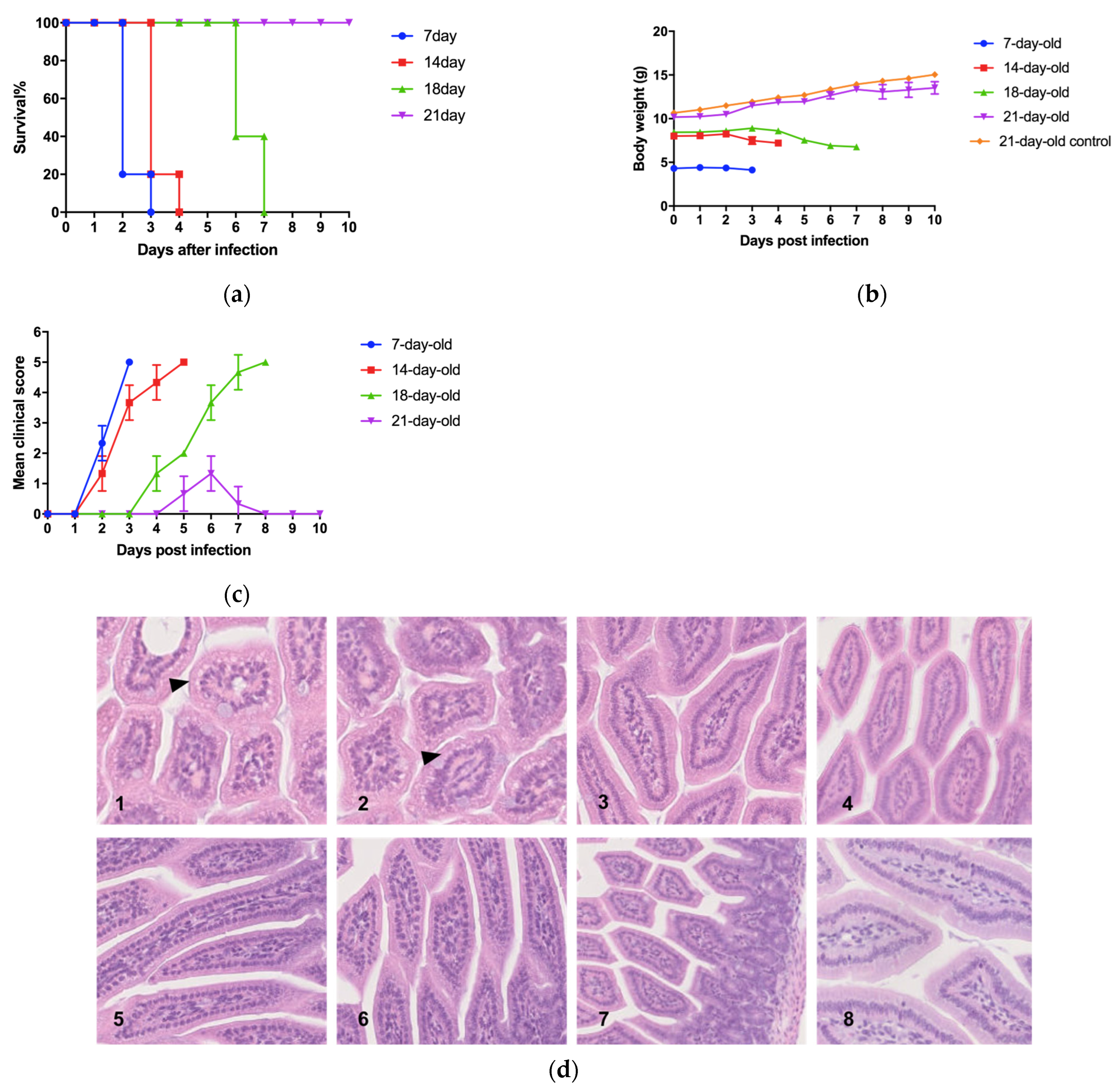 Viruses 17 00184 g002a