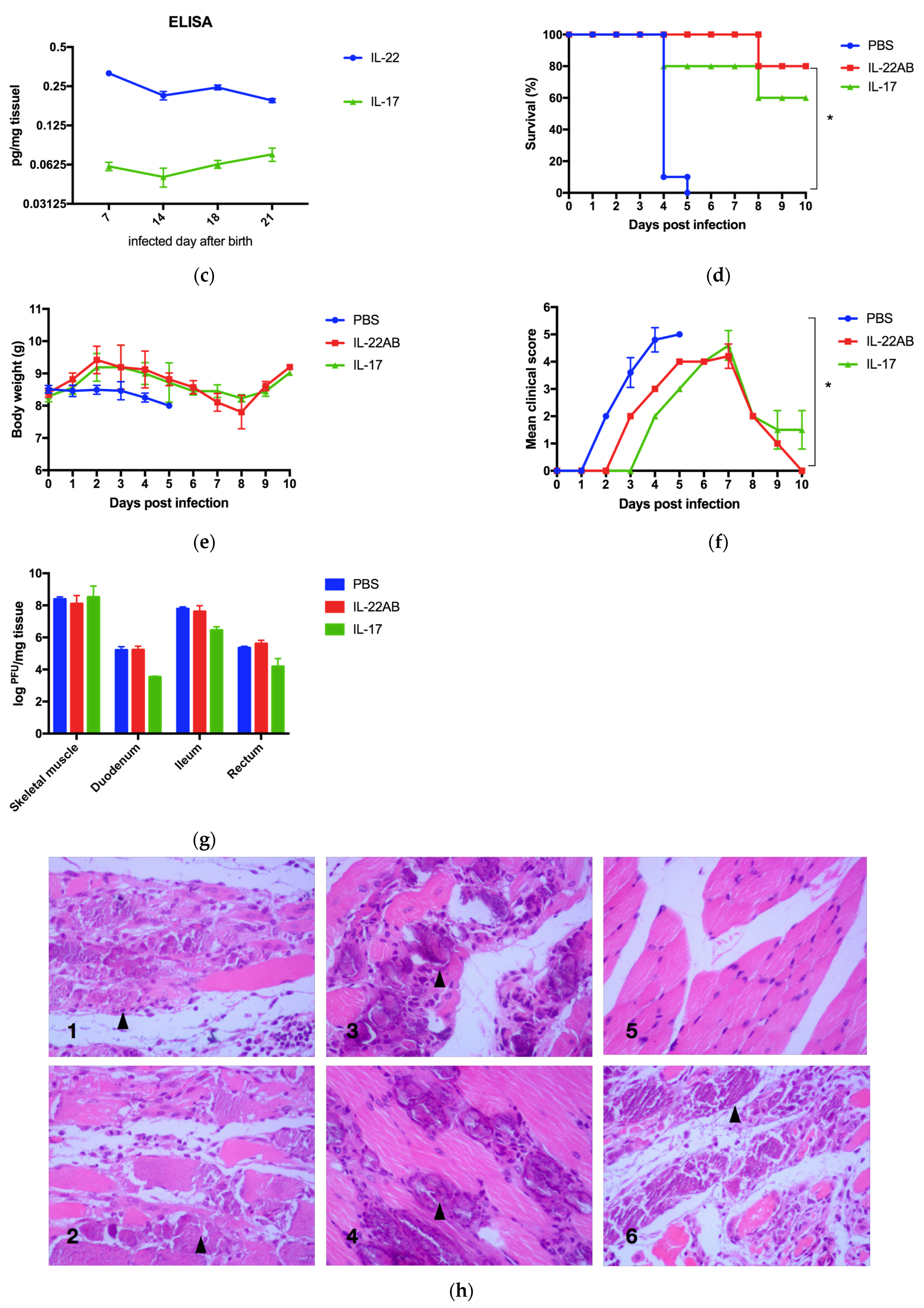 Viruses 17 00184 g003b