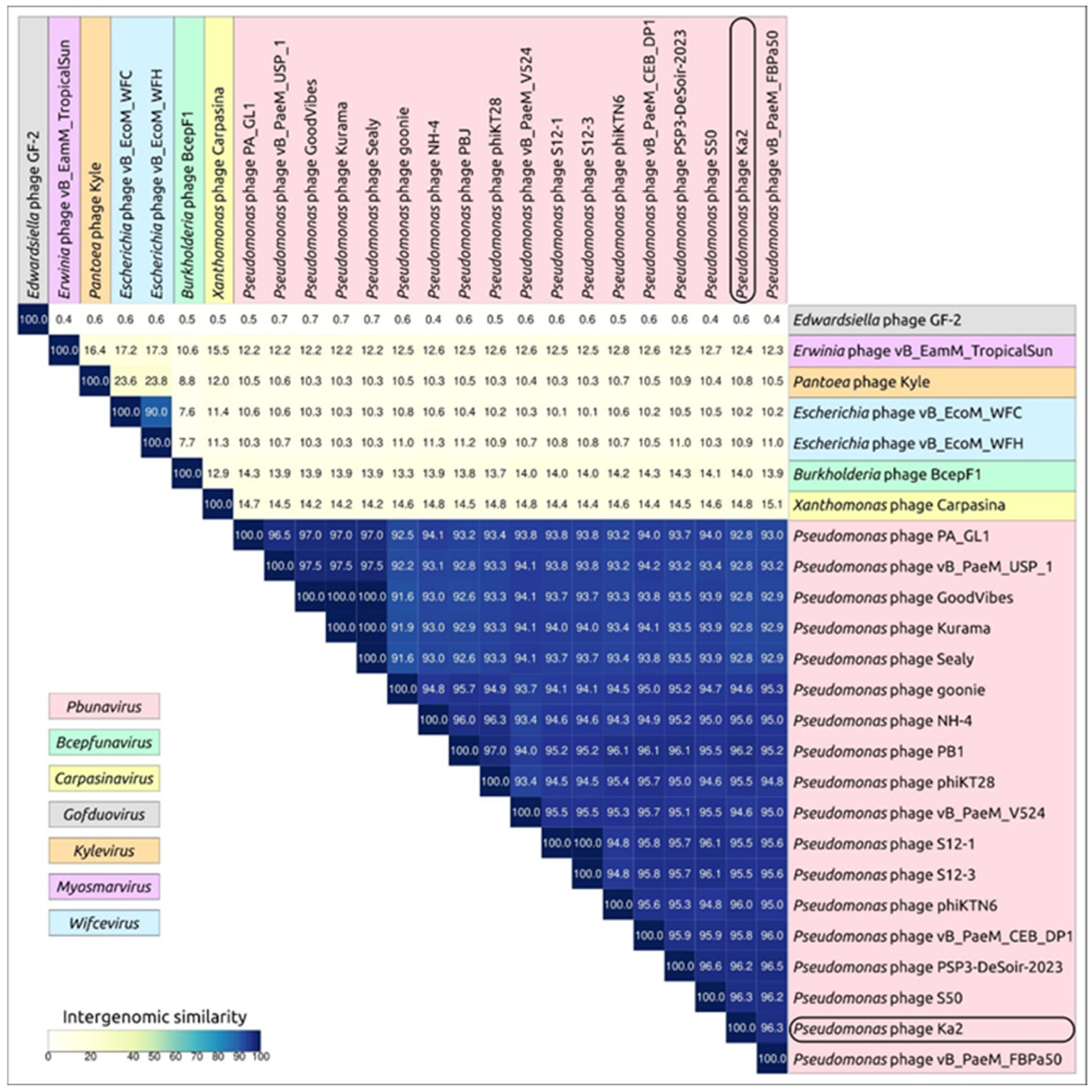 Viruses 17 00189 g005