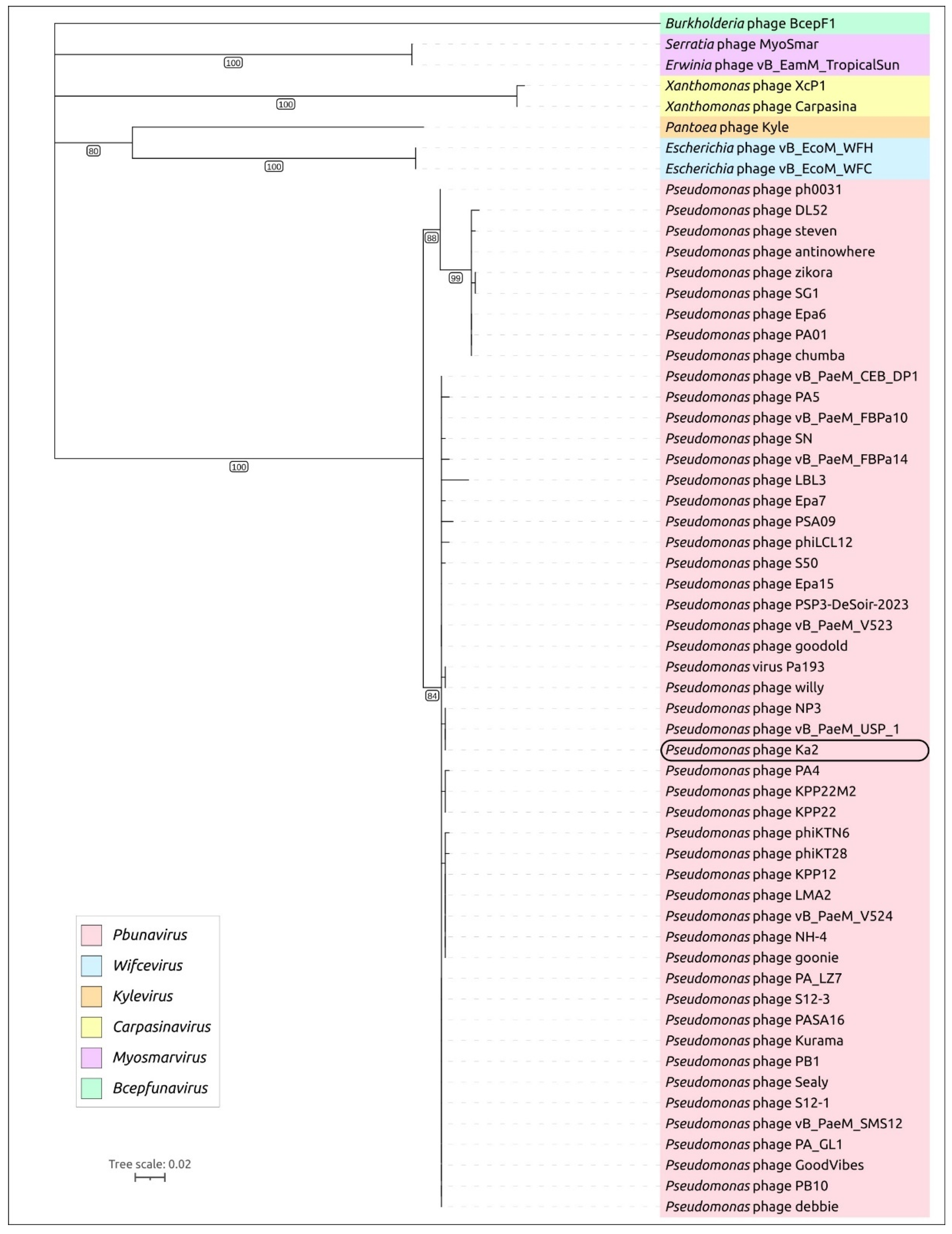 Viruses 17 00189 g006