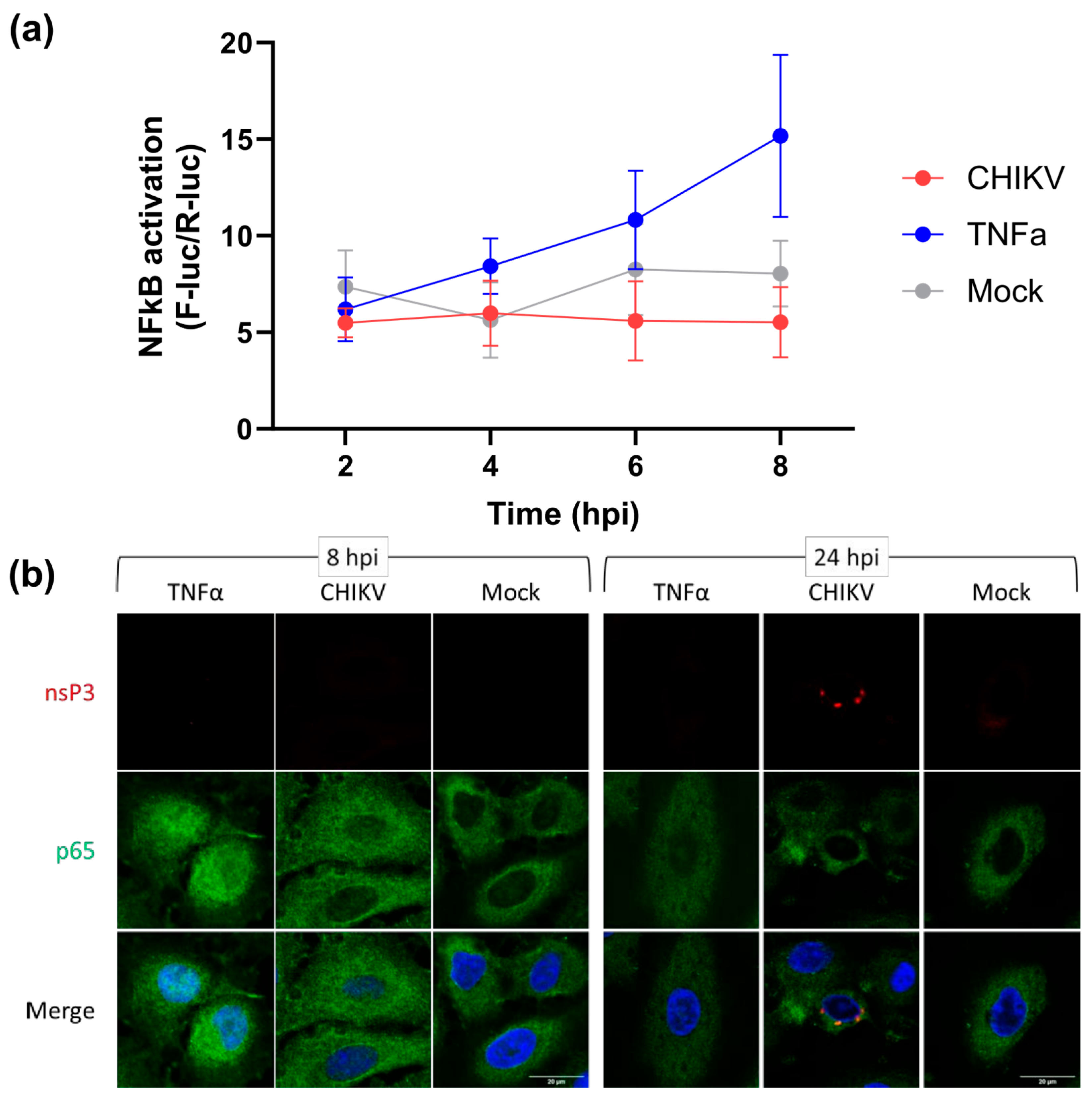 Viruses 17 00191 g001