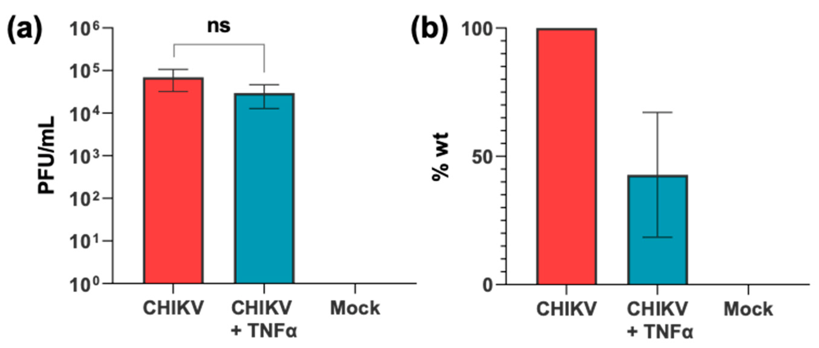Viruses 17 00191 g002