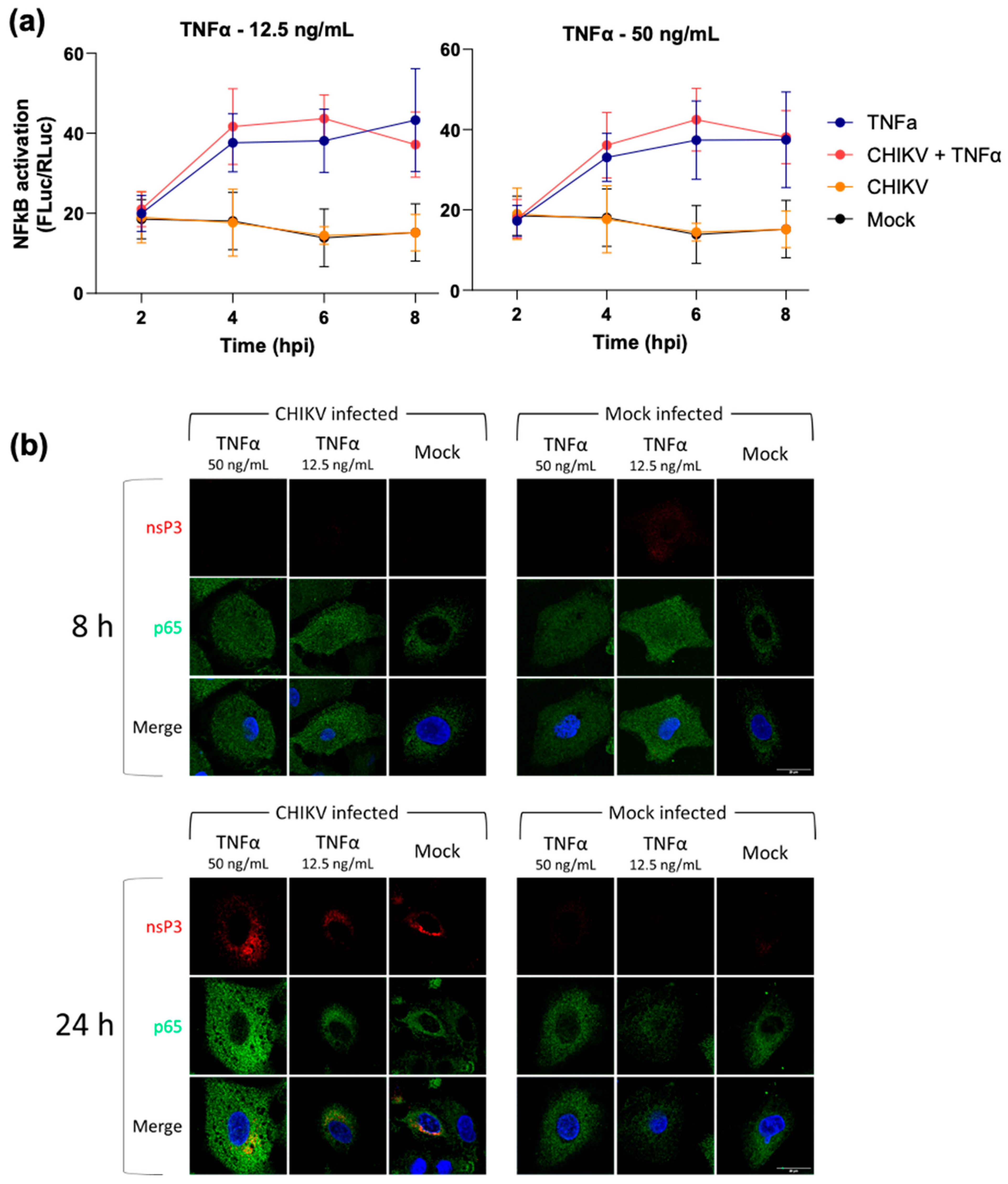 Viruses 17 00191 g003