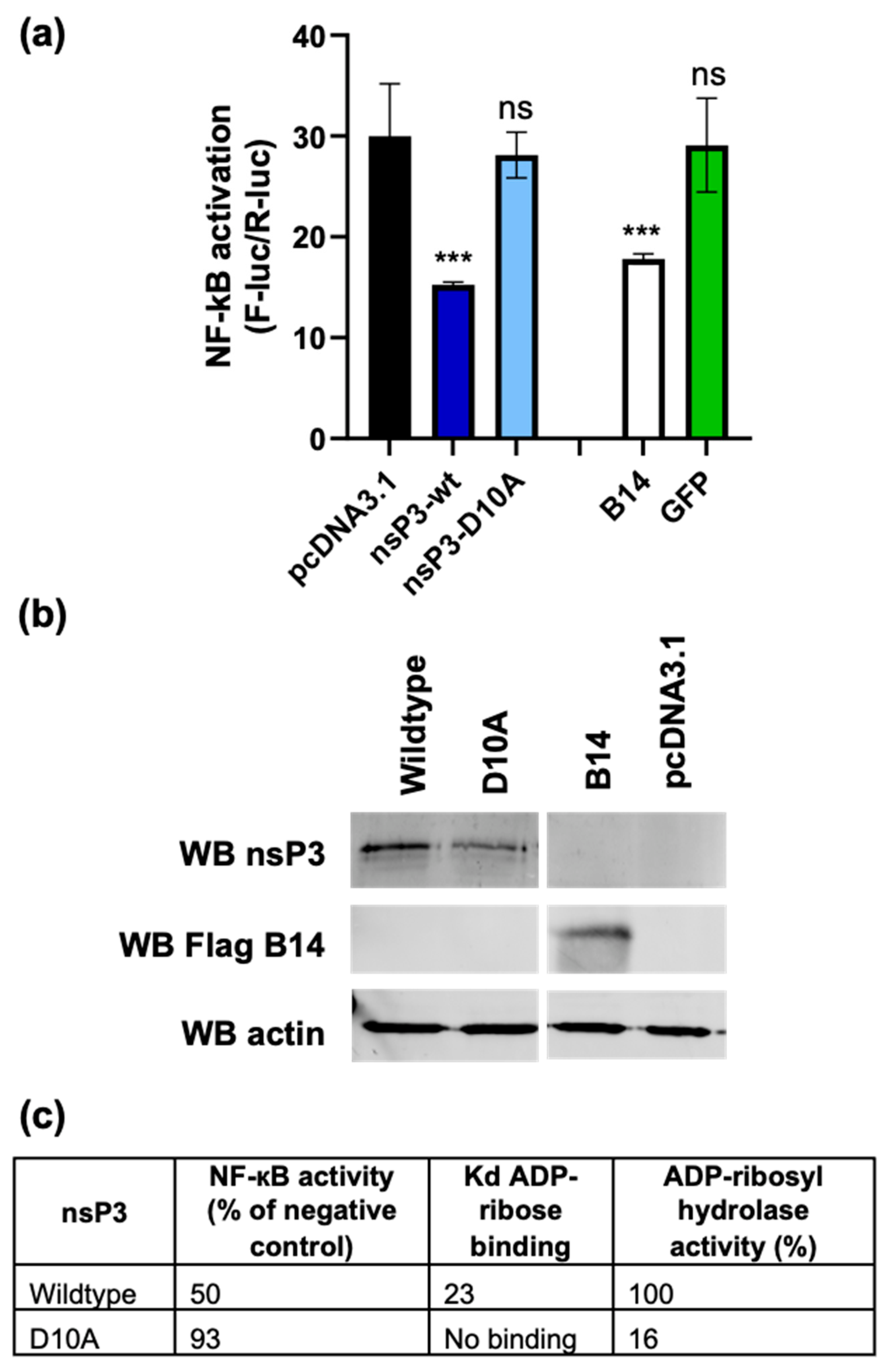 Viruses 17 00191 g006