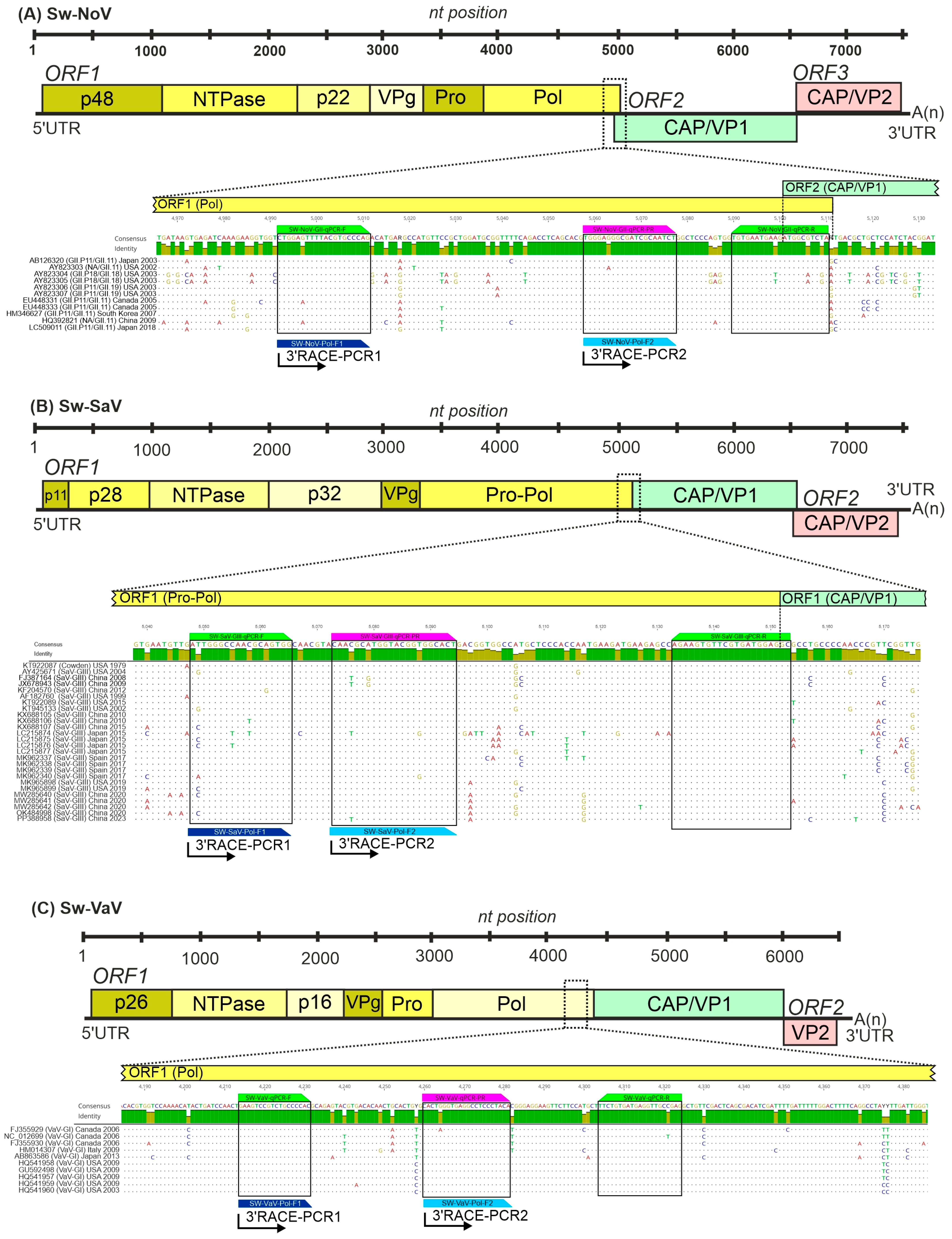 Viruses 17 00193 g001