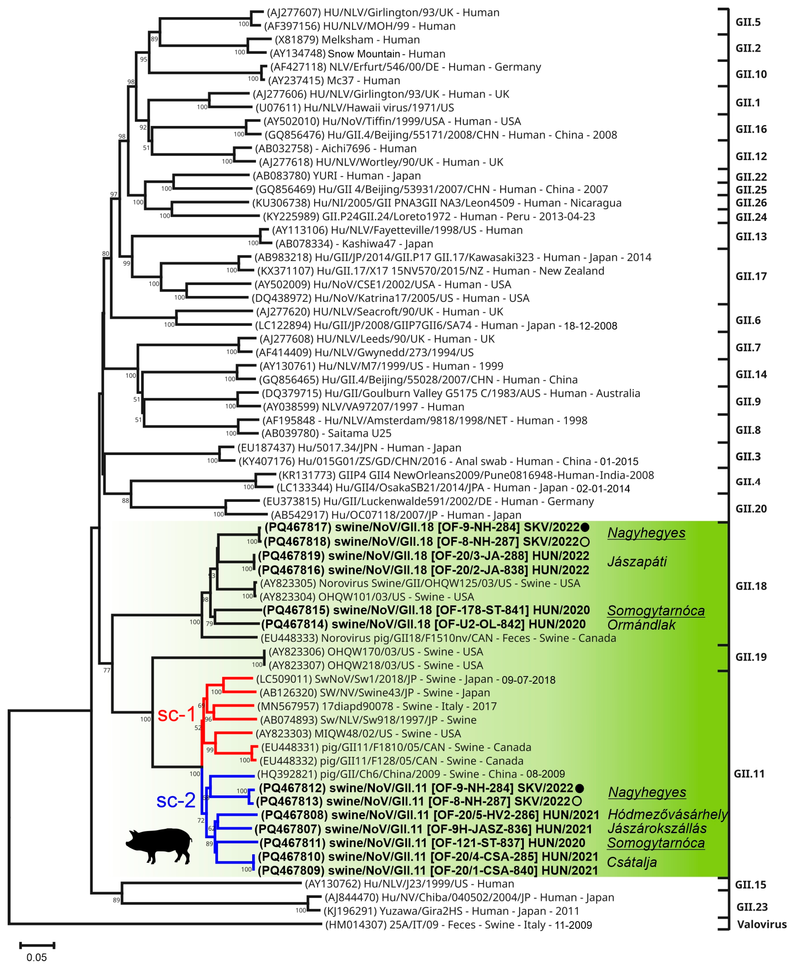 Viruses 17 00193 g006