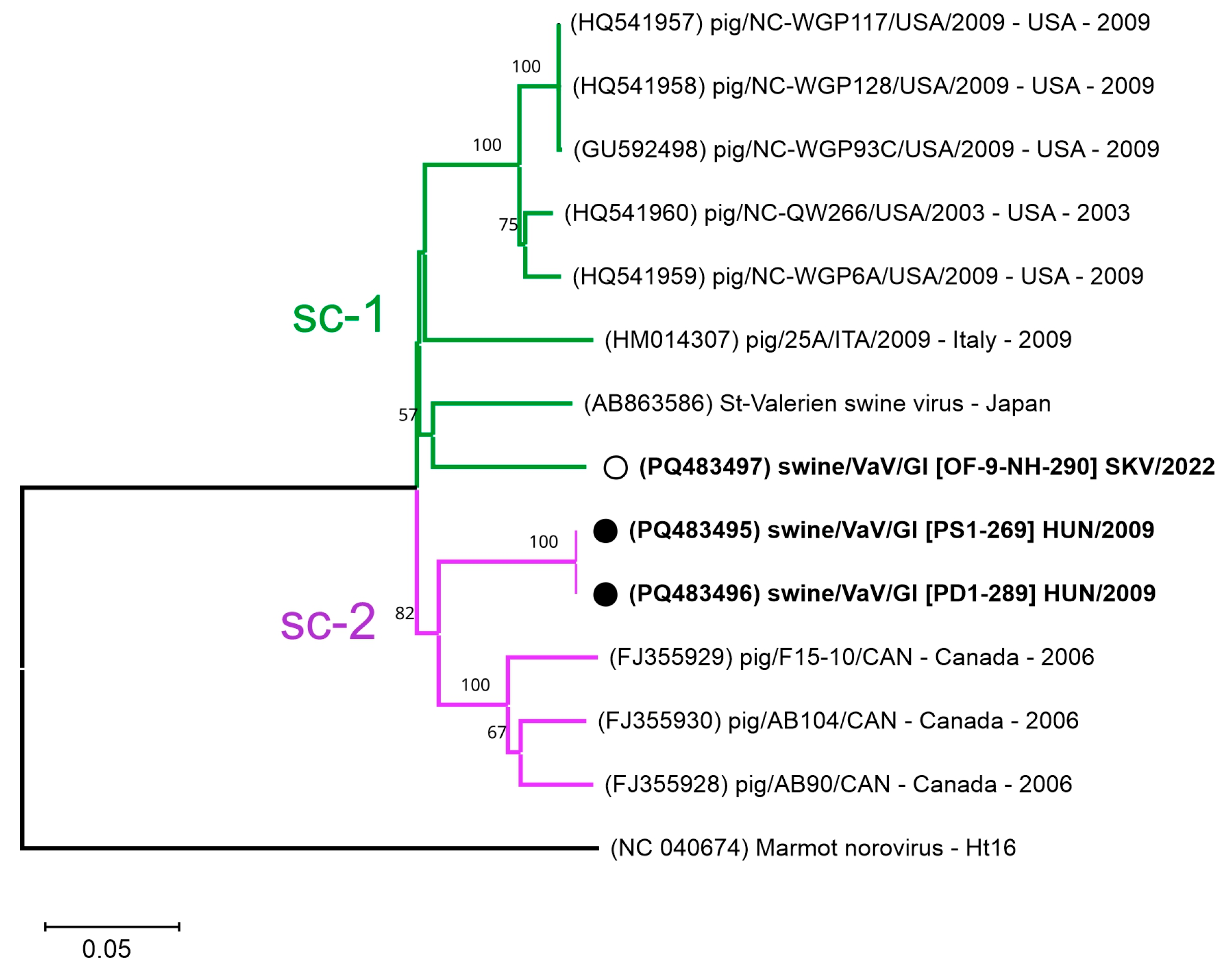 Viruses 17 00193 g007