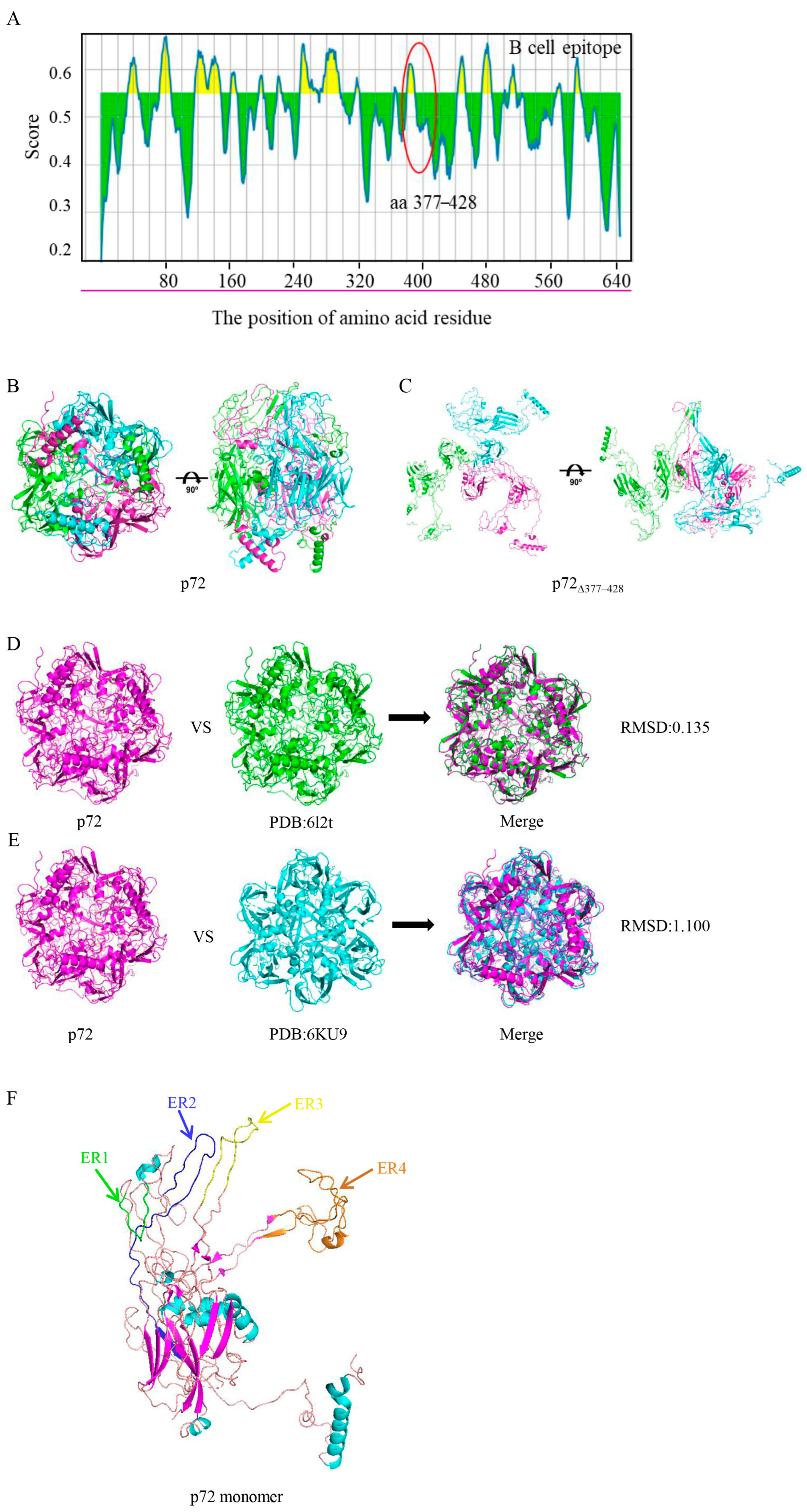 Viruses 17 00194 g002