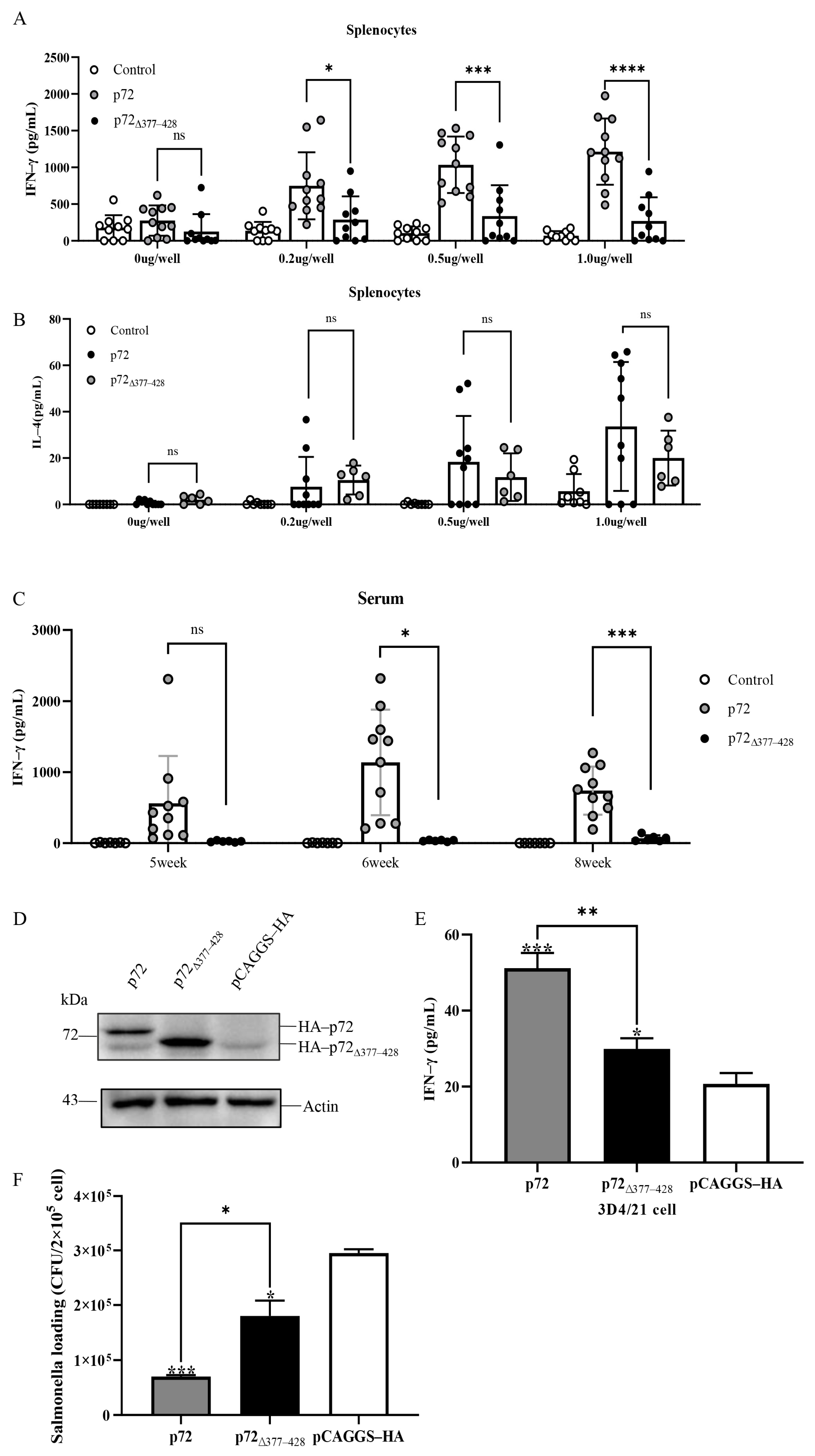 Viruses 17 00194 g004