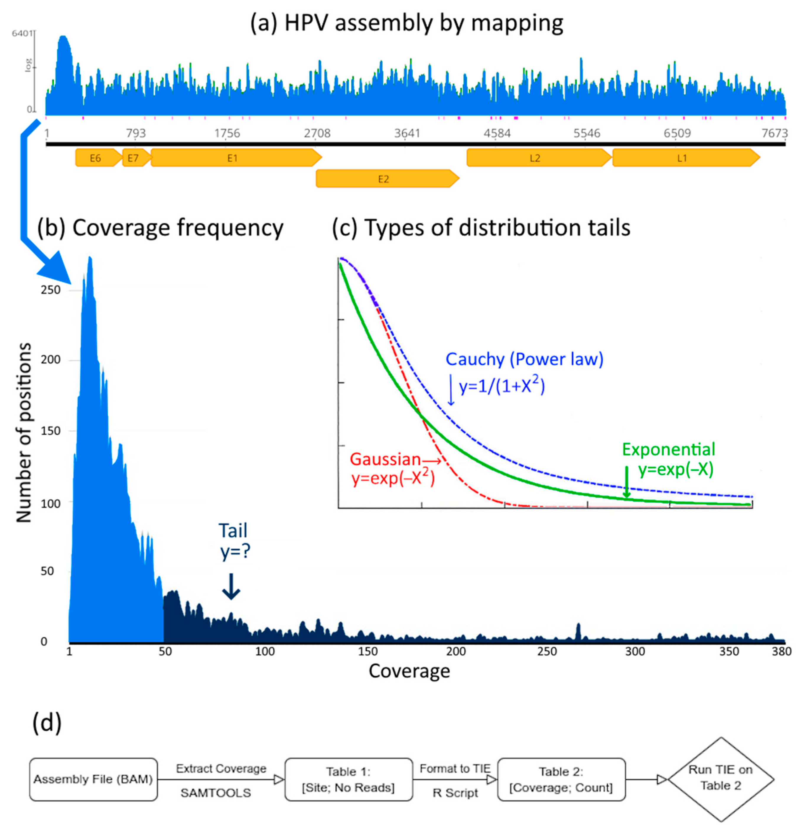 Viruses 17 00195 g001