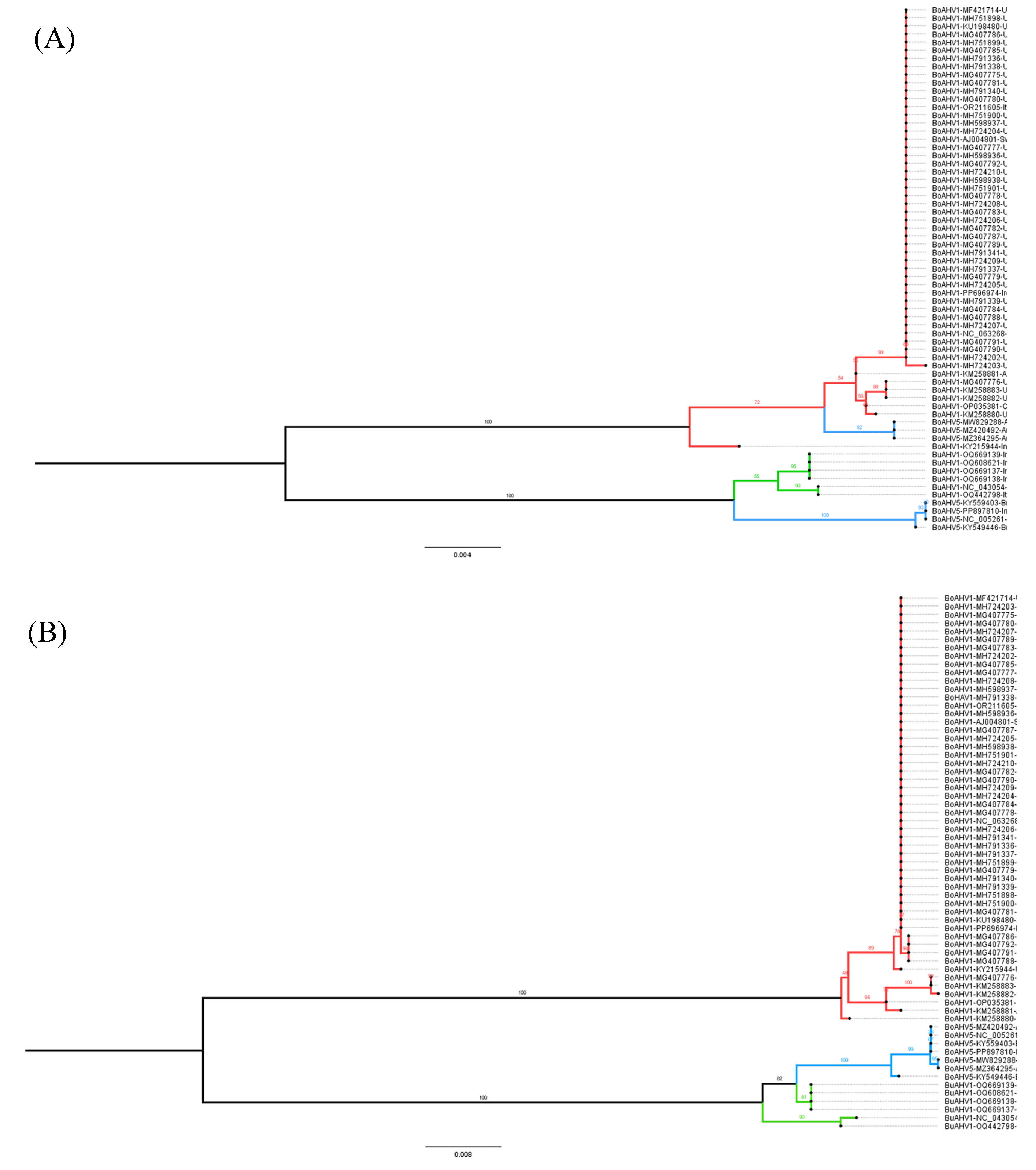 Viruses 17 00198 g002a Viruses 17 00198 g002a