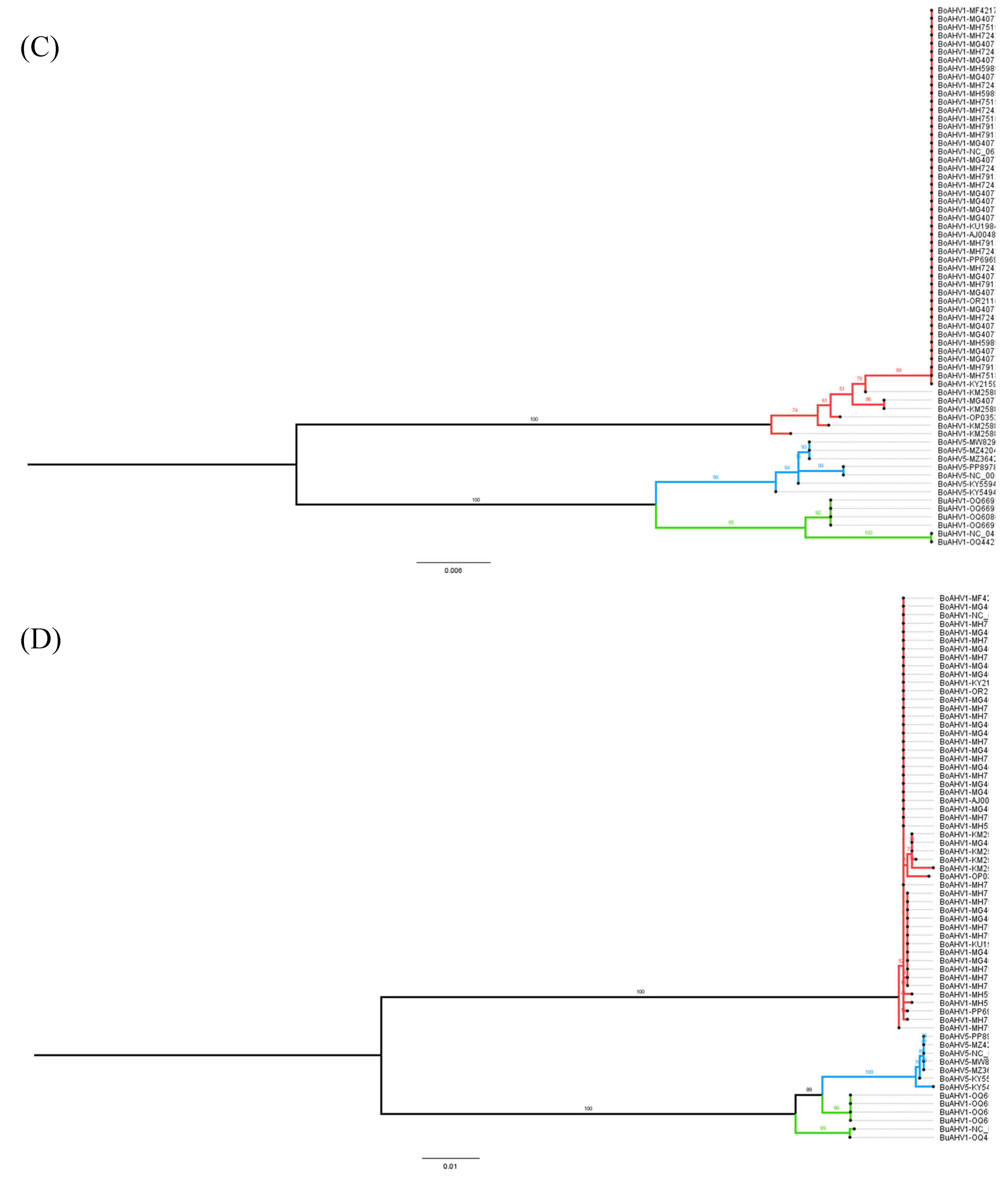 Viruses 17 00198 g002b Viruses 17 00198 g002b